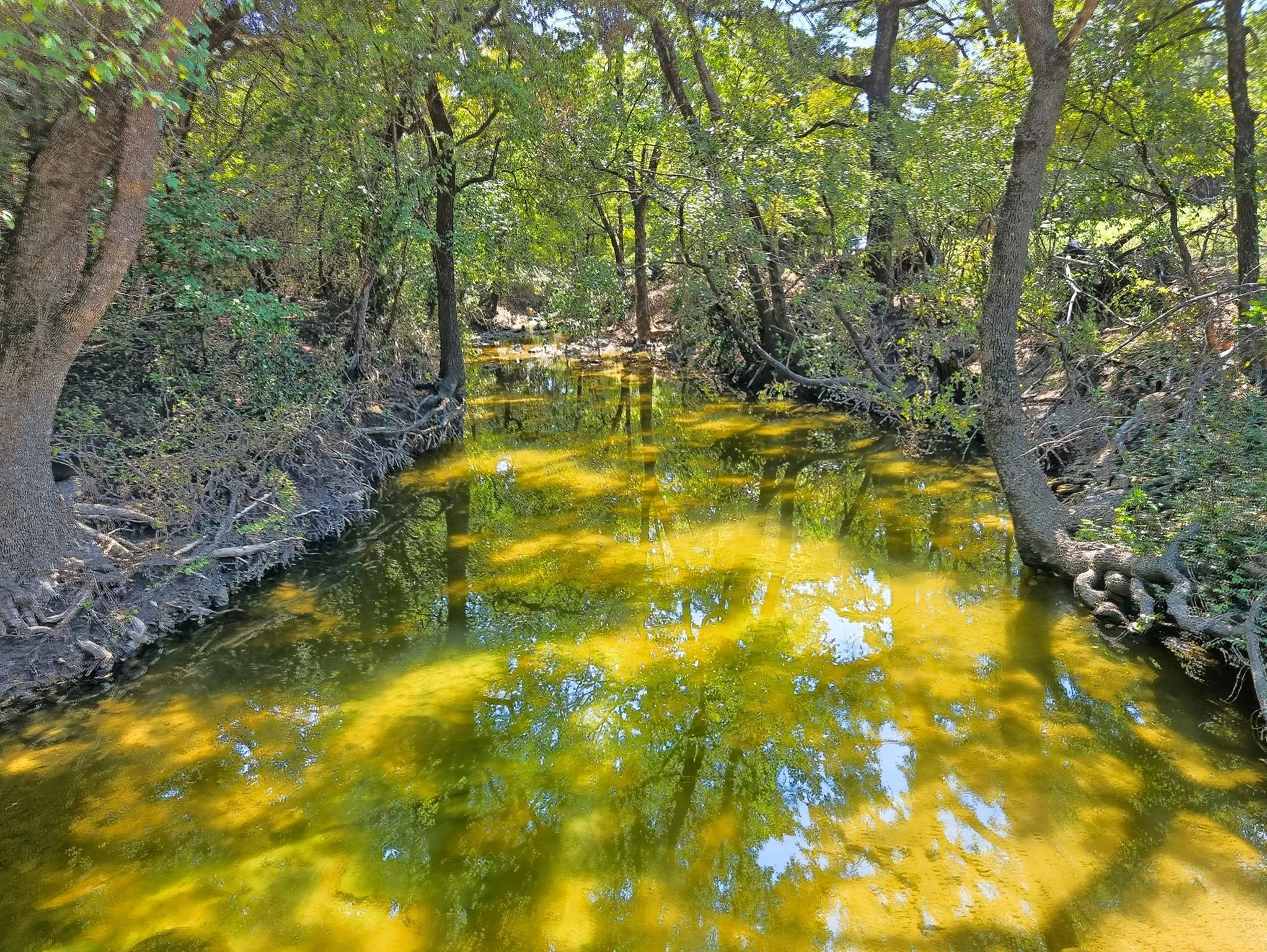Ranch For Sale in Coryell County , TBD-196.5 acres FM 116 Road, Gatesville, Texas 76528, 0, 0, Garage spaces, 0 Sqft, built in 0, mls#21057769, Real Estate Agent in Gatesville, Homes For Sale in Coryell county, Homes For Sale in Gatesville, Realtor in Gatesville Texas, Real Estate Brokerage Independent Realty Texas, Luminita Cordes Realtor