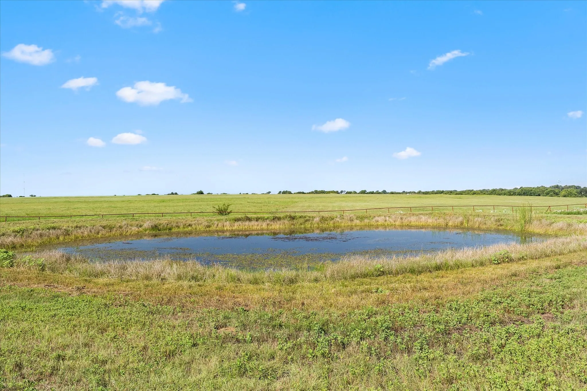 Pond