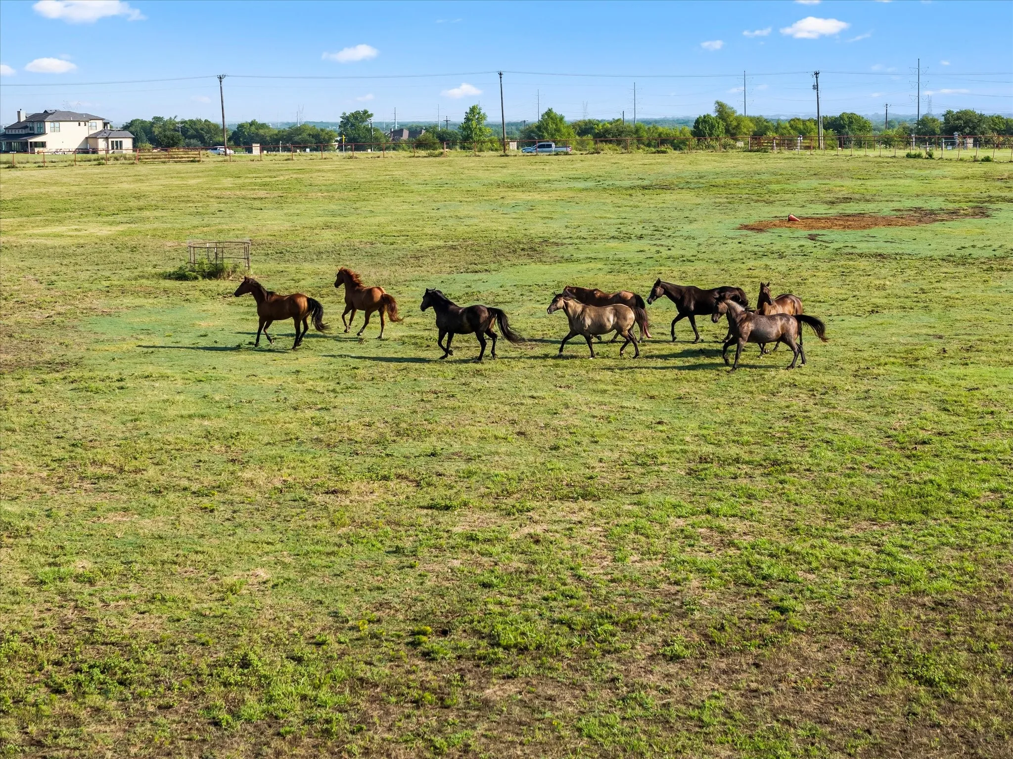 Ranch For Sale in Rockwall County , 8523 State Highway 276, Royse City, Texas 75189, 0, 0, Garage spaces, 0 Sqft, built in 0, mls#21053563, Real Estate Agent in Royse City, Homes For Sale in Rockwall county, Homes For Sale in Royse City, Realtor in Royse City Texas, Real Estate Brokerage Independent Realty Texas, Luminita Cordes Realtor