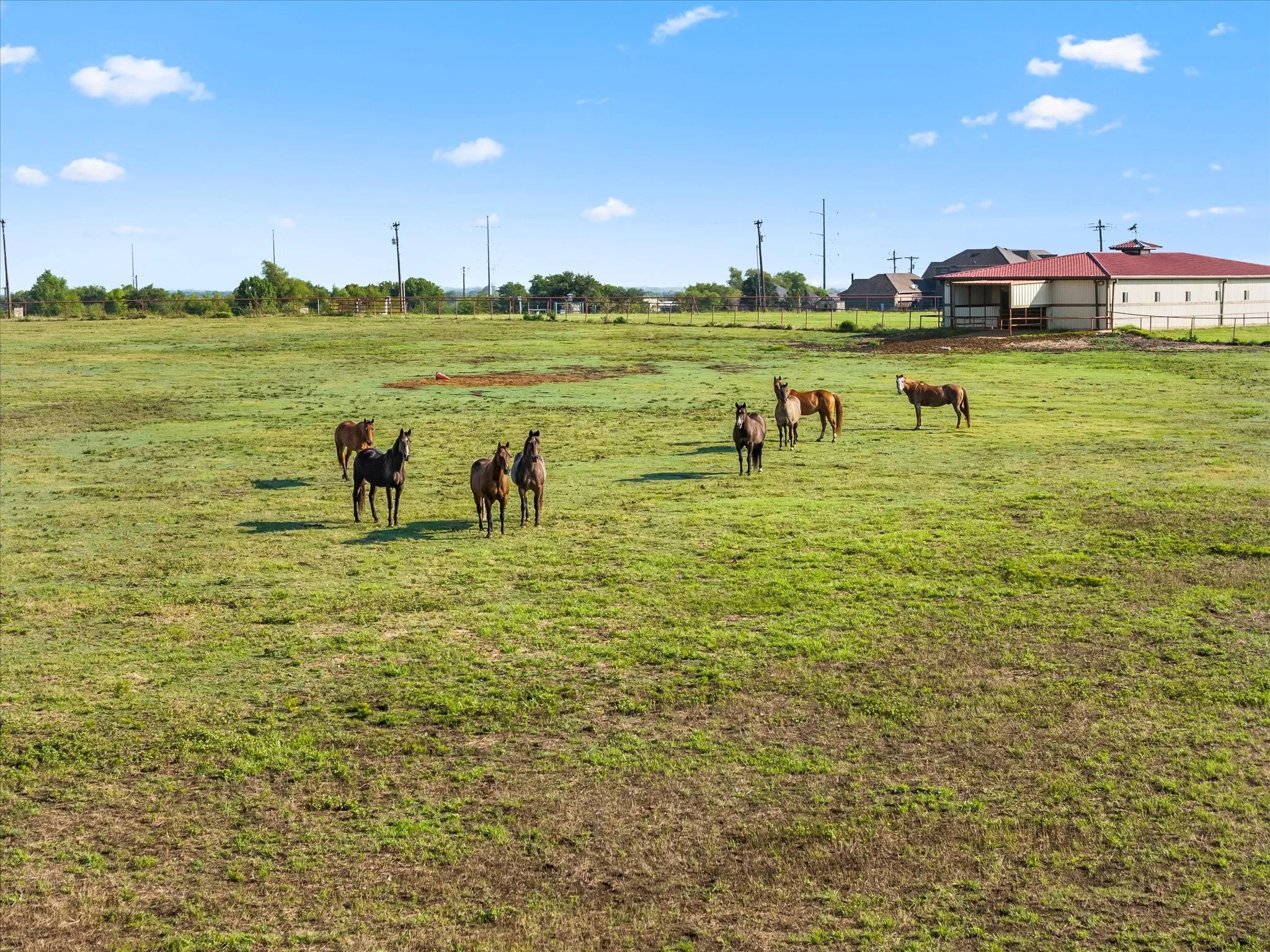 Ranch For Sale in Rockwall County , 8523 State Highway 276, Royse City, Texas 75189, 0, 0, Garage spaces, 0 Sqft, built in 0, mls#21053563, Real Estate Agent in Royse City, Homes For Sale in Rockwall county, Homes For Sale in Royse City, Realtor in Royse City Texas, Real Estate Brokerage Independent Realty Texas, Luminita Cordes Realtor