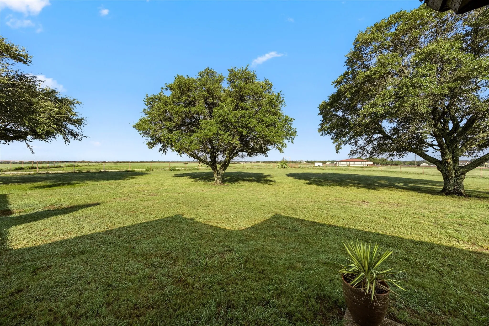 Ranch For Sale in Rockwall County , 8523 State Highway 276, Royse City, Texas 75189, 0, 0, Garage spaces, 0 Sqft, built in 0, mls#21053563, Real Estate Agent in Royse City, Homes For Sale in Rockwall county, Homes For Sale in Royse City, Realtor in Royse City Texas, Real Estate Brokerage Independent Realty Texas, Luminita Cordes Realtor