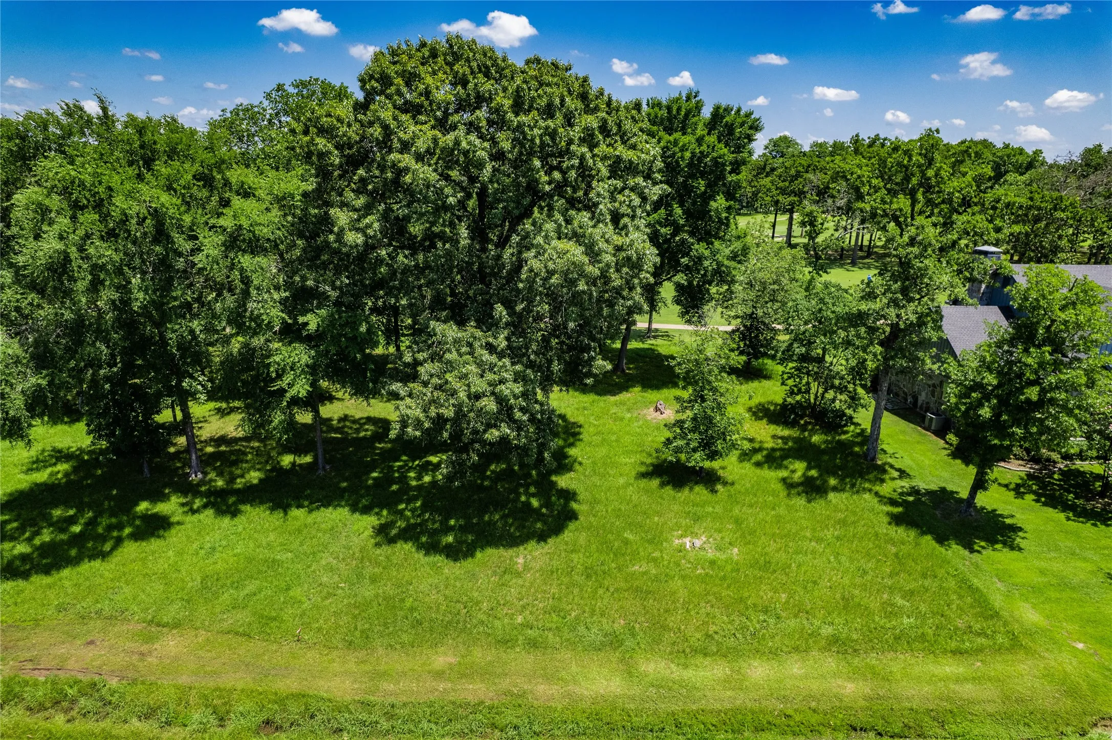 Unimproved Land For Sale in Henderson County , 321 Saint Andrews Drive, Mabank, Texas 75156, 0, 0, Garage spaces, 0 Sqft, built in 0, mls#21055701, Real Estate Agent in Mabank, Homes For Sale in Henderson county, Homes For Sale in Mabank, Realtor in Mabank Texas, Real Estate Brokerage Independent Realty Texas, Luminita Cordes Realtor