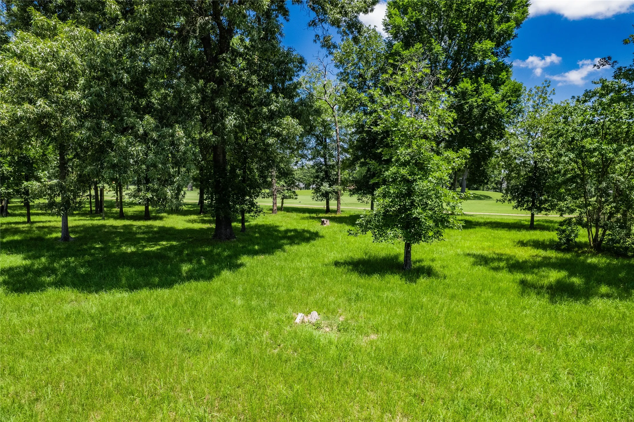 Unimproved Land For Sale in Henderson County , 321 Saint Andrews Drive, Mabank, Texas 75156, 0, 0, Garage spaces, 0 Sqft, built in 0, mls#21055701, Real Estate Agent in Mabank, Homes For Sale in Henderson county, Homes For Sale in Mabank, Realtor in Mabank Texas, Real Estate Brokerage Independent Realty Texas, Luminita Cordes Realtor