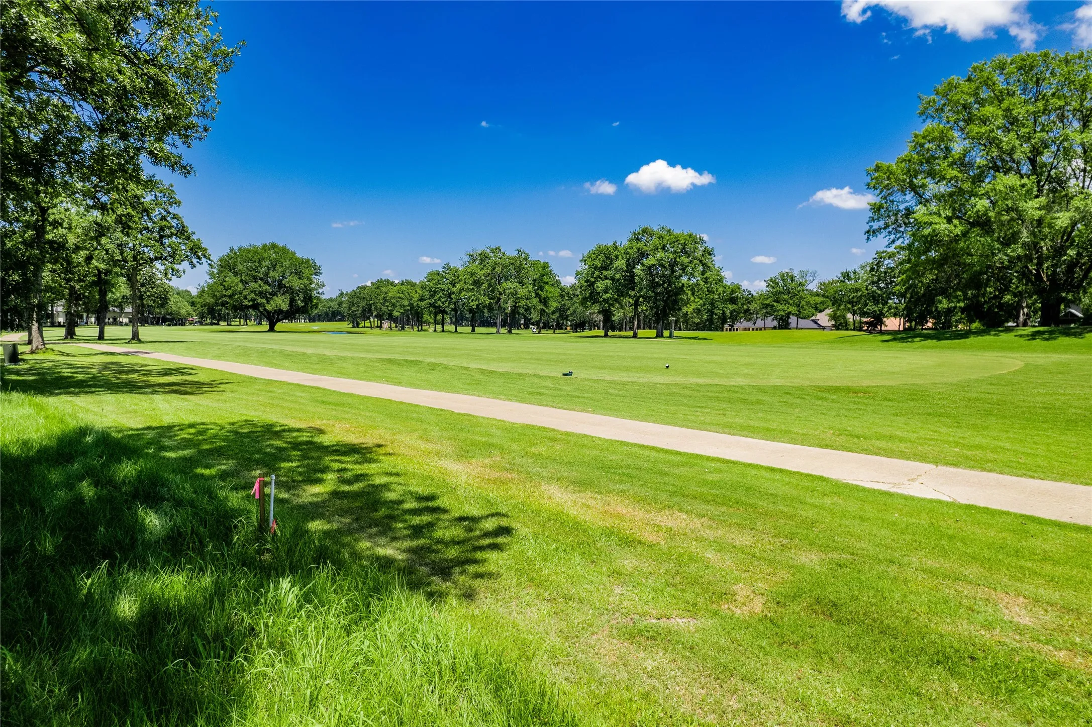 Unimproved Land For Sale in Henderson County , 321 Saint Andrews Drive, Mabank, Texas 75156, 0, 0, Garage spaces, 0 Sqft, built in 0, mls#21055701, Real Estate Agent in Mabank, Homes For Sale in Henderson county, Homes For Sale in Mabank, Realtor in Mabank Texas, Real Estate Brokerage Independent Realty Texas, Luminita Cordes Realtor