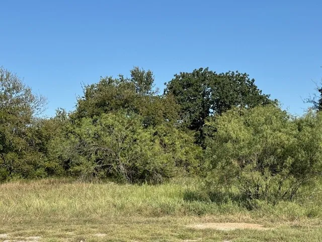 Unimproved Land For Sale in Hill County , 31033 Doe Run Court, Whitney, Texas 76692, 0, 0, Garage spaces, 0 Sqft, built in 0, mls#21058150, Real Estate Agent in Whitney, Homes For Sale in Hill county, Homes For Sale in Whitney, Realtor in Whitney Texas, Real Estate Brokerage Independent Realty Texas, Luminita Cordes Realtor