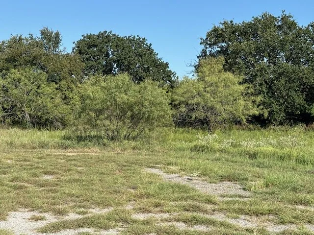 Unimproved Land For Sale in Hill County , 31033 Doe Run Court, Whitney, Texas 76692, 0, 0, Garage spaces, 0 Sqft, built in 0, mls#21058150, Real Estate Agent in Whitney, Homes For Sale in Hill county, Homes For Sale in Whitney, Realtor in Whitney Texas, Real Estate Brokerage Independent Realty Texas, Luminita Cordes Realtor