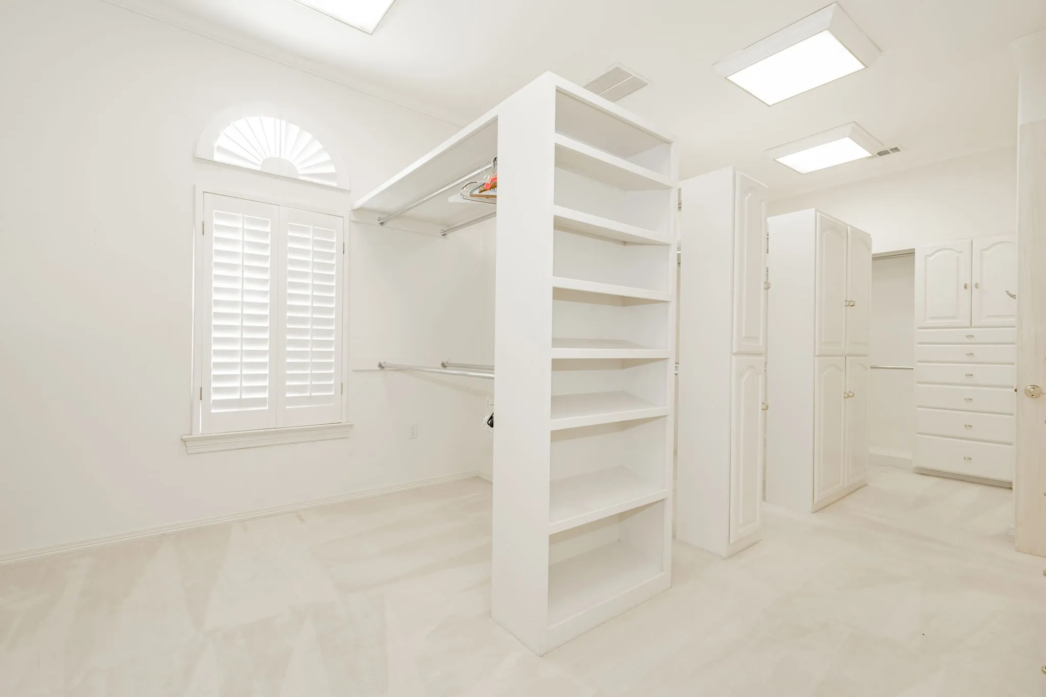 Spacious closet featuring light carpet