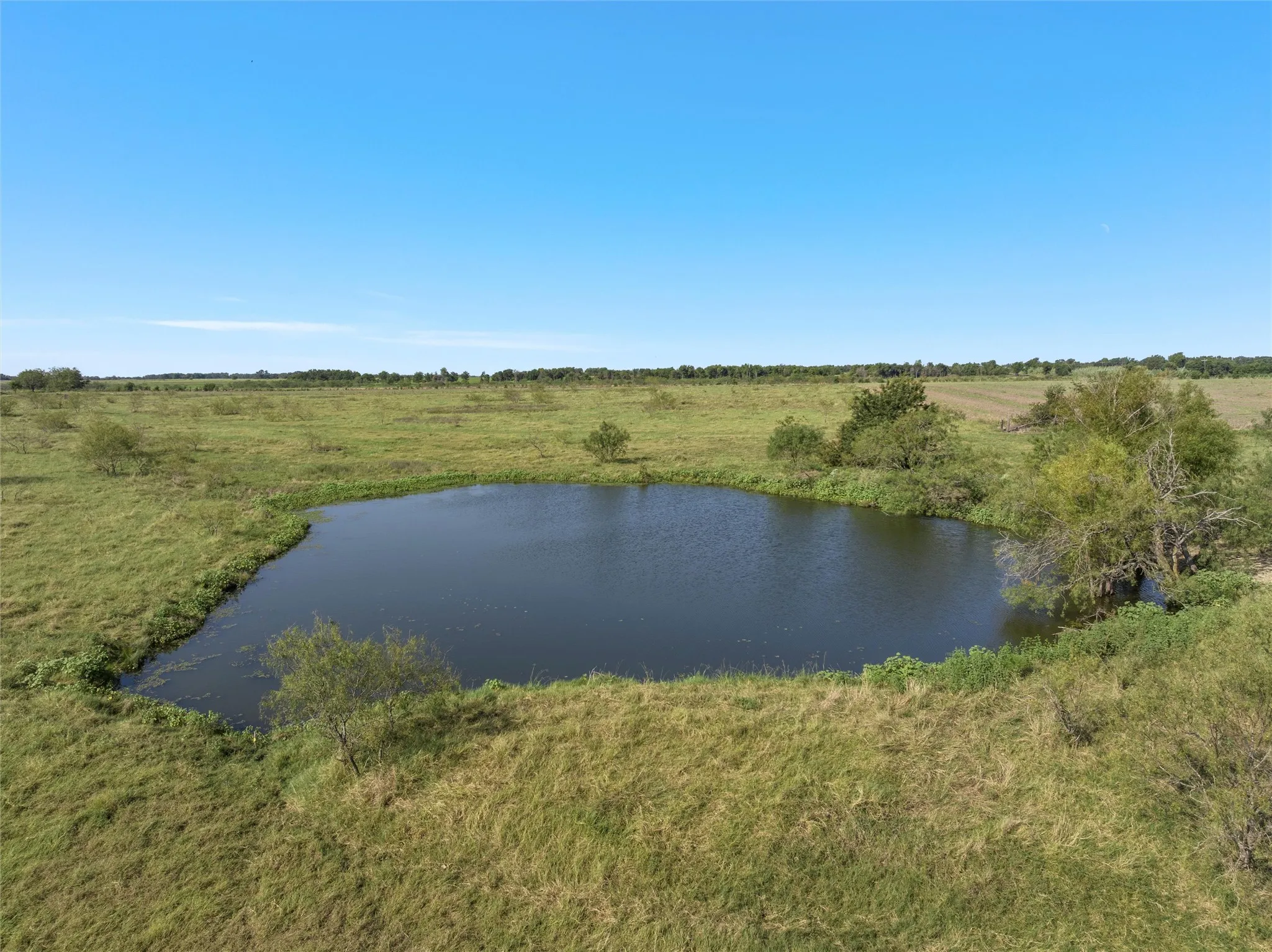 Improved Land For Sale in Falls County , TBD Cr 142, Riesel, Texas 76682, 0, 0, Garage spaces, 0 Sqft, built in 0, mls#21058169, Real Estate Agent in Riesel, Homes For Sale in Falls county, Homes For Sale in Riesel, Realtor in Riesel Texas, Real Estate Brokerage Independent Realty Texas, Luminita Cordes Realtor