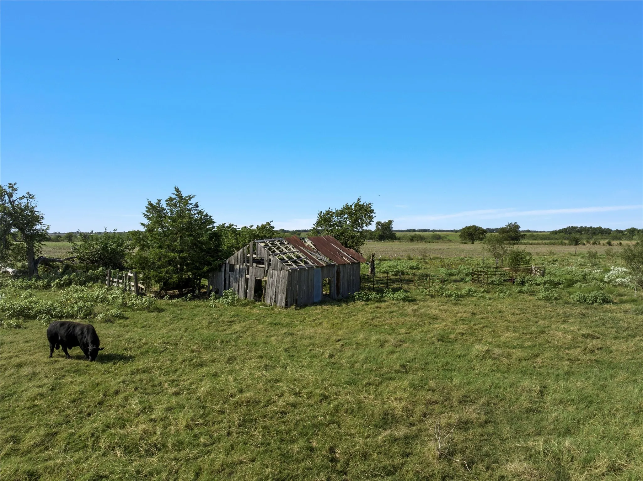 Improved Land For Sale in Falls County , TBD Cr 142, Riesel, Texas 76682, 0, 0, Garage spaces, 0 Sqft, built in 0, mls#21058169, Real Estate Agent in Riesel, Homes For Sale in Falls county, Homes For Sale in Riesel, Realtor in Riesel Texas, Real Estate Brokerage Independent Realty Texas, Luminita Cordes Realtor