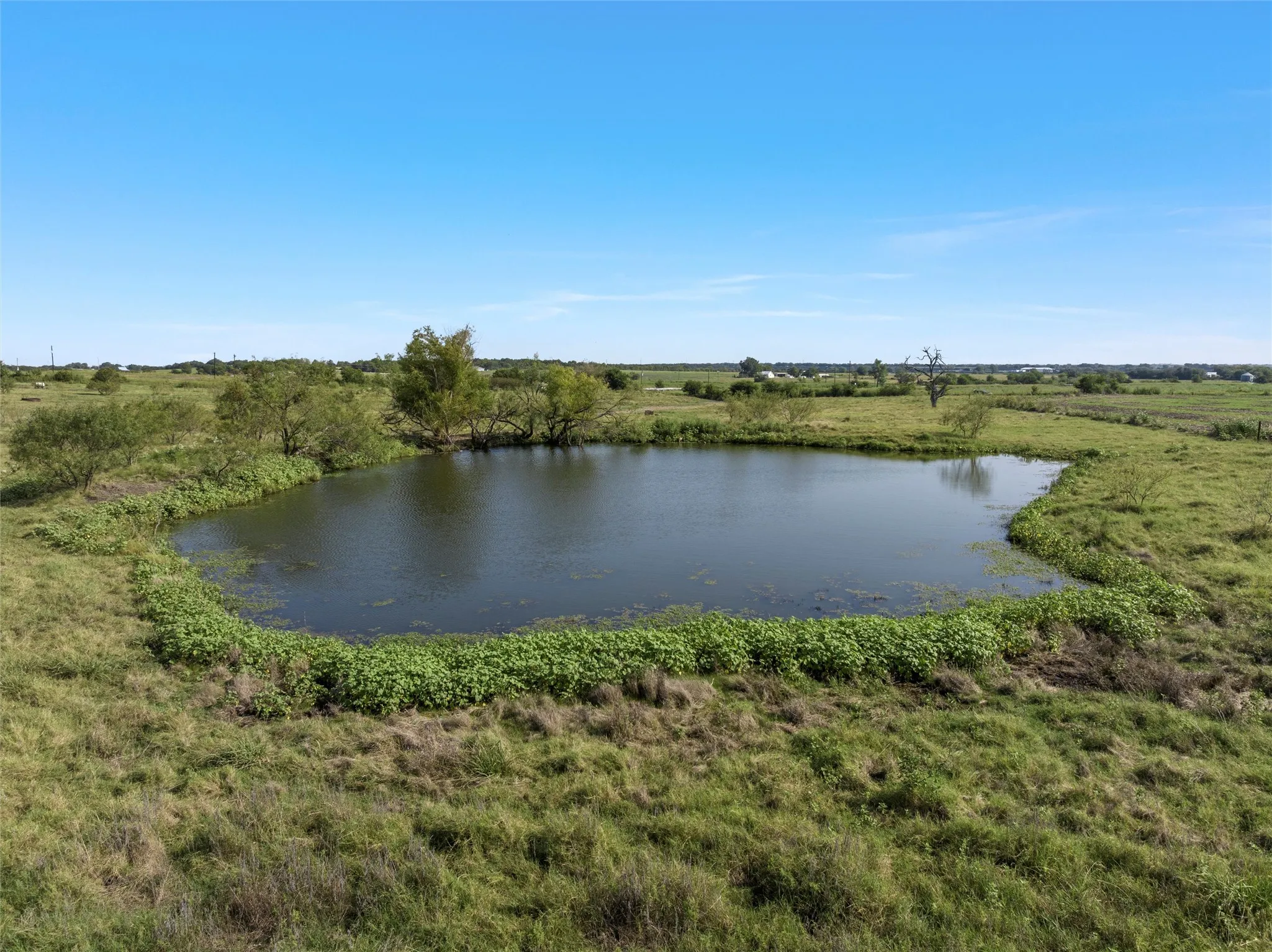 Improved Land For Sale in Falls County , TBD Cr 142, Riesel, Texas 76682, 0, 0, Garage spaces, 0 Sqft, built in 0, mls#21058169, Real Estate Agent in Riesel, Homes For Sale in Falls county, Homes For Sale in Riesel, Realtor in Riesel Texas, Real Estate Brokerage Independent Realty Texas, Luminita Cordes Realtor