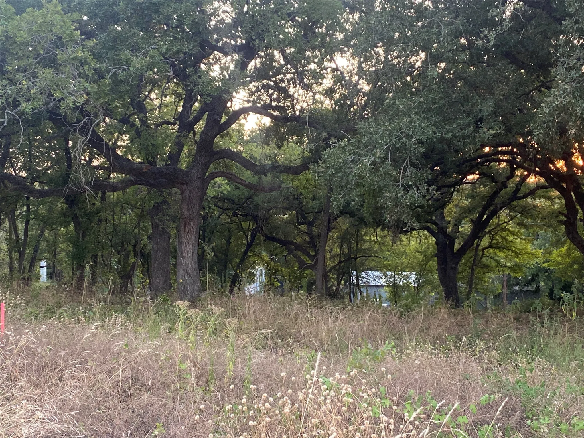 Unimproved Land For Sale in Johnson County , 3635 Cr 401, Alvarado, Texas 76009, 0, 0, Garage spaces, 0 Sqft, built in 0, mls#21057828, Real Estate Agent in Alvarado, Homes For Sale in Johnson county, Homes For Sale in Alvarado, Realtor in Alvarado Texas, Real Estate Brokerage Independent Realty Texas, Luminita Cordes Realtor