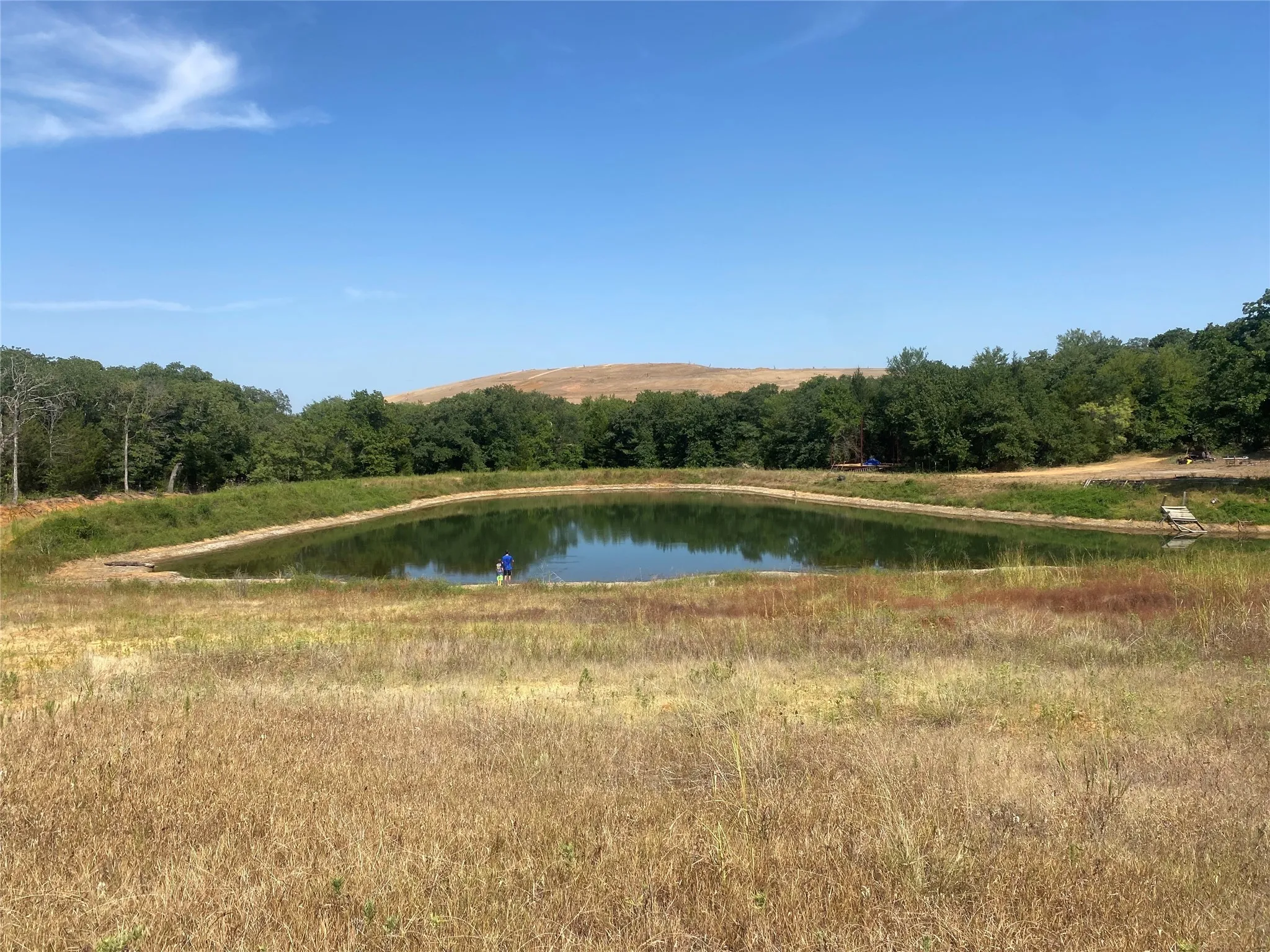 Unimproved Land For Sale in Johnson County , 3635 Cr 401, Alvarado, Texas 76009, 0, 0, Garage spaces, 0 Sqft, built in 0, mls#21057828, Real Estate Agent in Alvarado, Homes For Sale in Johnson county, Homes For Sale in Alvarado, Realtor in Alvarado Texas, Real Estate Brokerage Independent Realty Texas, Luminita Cordes Realtor