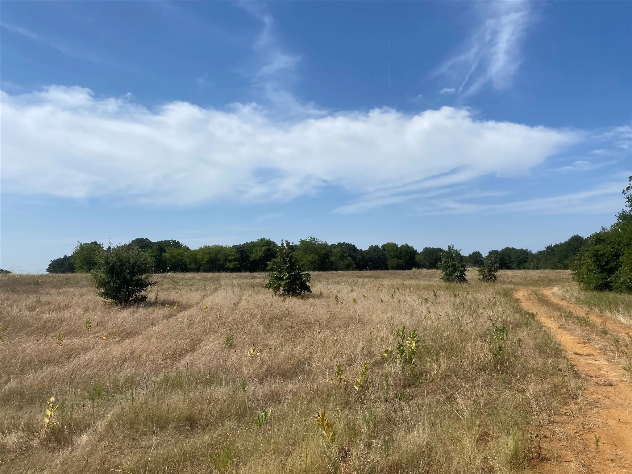 Unimproved Land For Sale in Johnson County , 3635 Cr 401, Alvarado, Texas 76009, 0, 0, Garage spaces, 0 Sqft, built in 0, mls#21057828, Real Estate Agent in Alvarado, Homes For Sale in Johnson county, Homes For Sale in Alvarado, Realtor in Alvarado Texas, Real Estate Brokerage Independent Realty Texas, Luminita Cordes Realtor