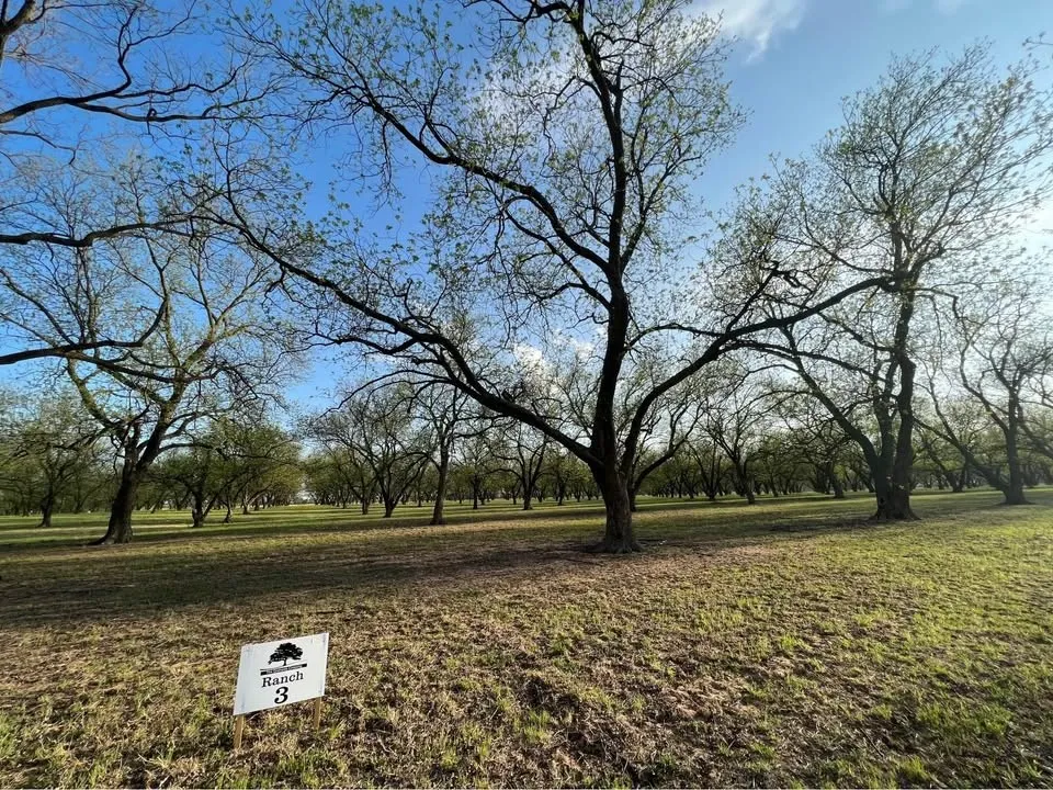 Unimproved Land For Sale in Comanche County , TBD CR 461, De Leon, Texas 76444, 0, 0, Garage spaces, 0 Sqft, built in 0, mls#21058263, Real Estate Agent in De Leon, Homes For Sale in Comanche county, Homes For Sale in De Leon, Realtor in De Leon Texas, Real Estate Brokerage Independent Realty Texas, Luminita Cordes Realtor