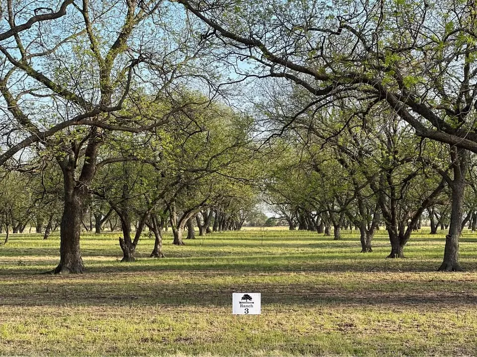 Unimproved Land For Sale in Comanche County , TBD CR 461, De Leon, Texas 76444, 0, 0, Garage spaces, 0 Sqft, built in 0, mls#21058263, Real Estate Agent in De Leon, Homes For Sale in Comanche county, Homes For Sale in De Leon, Realtor in De Leon Texas, Real Estate Brokerage Independent Realty Texas, Luminita Cordes Realtor