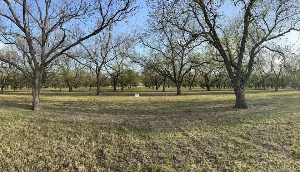 Unimproved Land For Sale in Comanche County , TBD CR 461, De Leon, Texas 76444, 0, 0, Garage spaces, 0 Sqft, built in 0, mls#21058263, Real Estate Agent in De Leon, Homes For Sale in Comanche county, Homes For Sale in De Leon, Realtor in De Leon Texas, Real Estate Brokerage Independent Realty Texas, Luminita Cordes Realtor