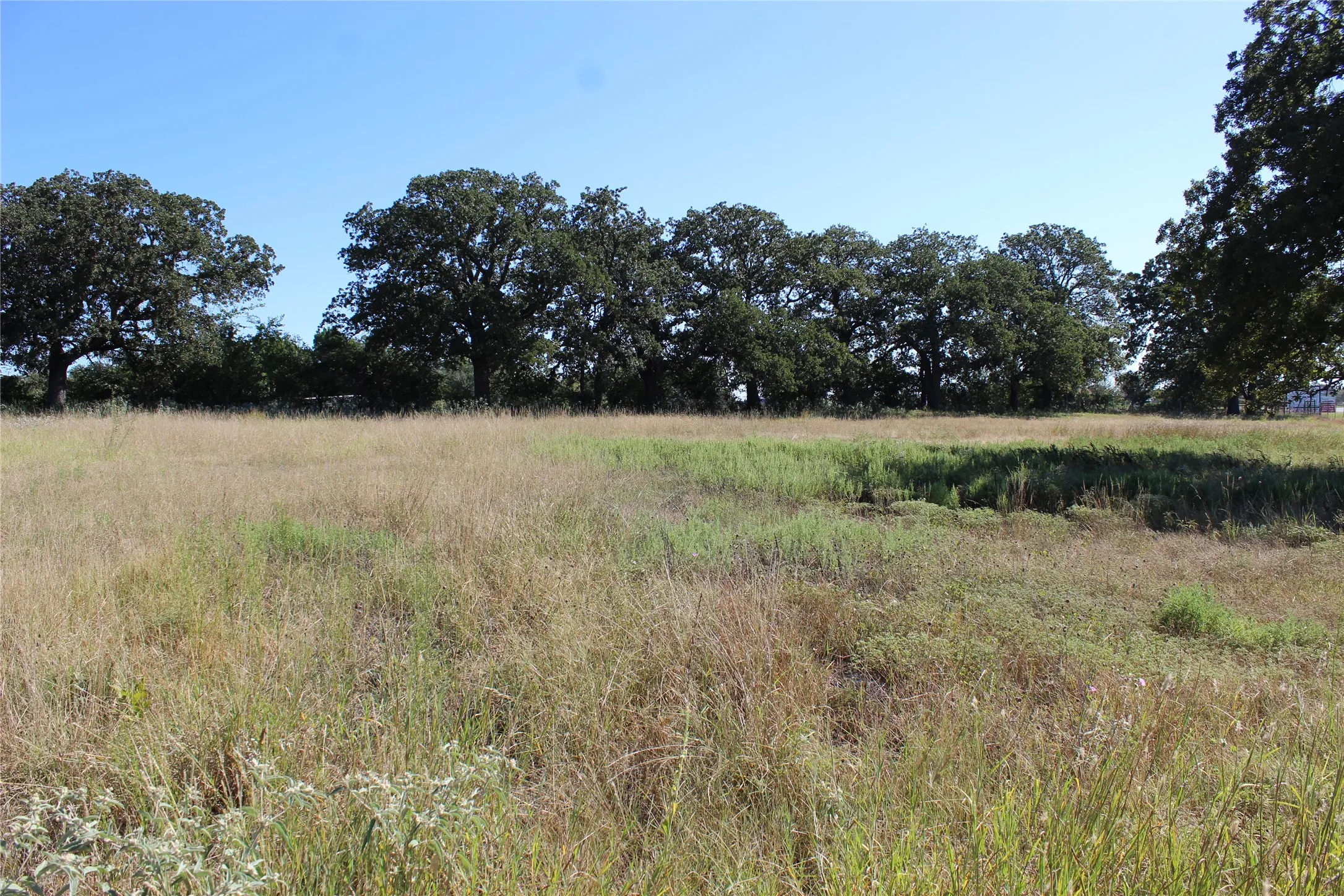 Single Family Residence For Sale in Comanche County , 5050 Highway 67 377N, Comanche, Texas 76442, 3 Bedrooms, 2 Bathrooms, 2 Garage spaces, 2,000 Sqft, built in 1956, Price $540,000, mls#21058200, Real Estate Agent in Comanche, Homes For Sale in Comanche county, Homes For Sale in Comanche, Realtor in Comanche Texas, Real Estate Brokerage Independent Realty Texas, Luminita Cordes Realtor