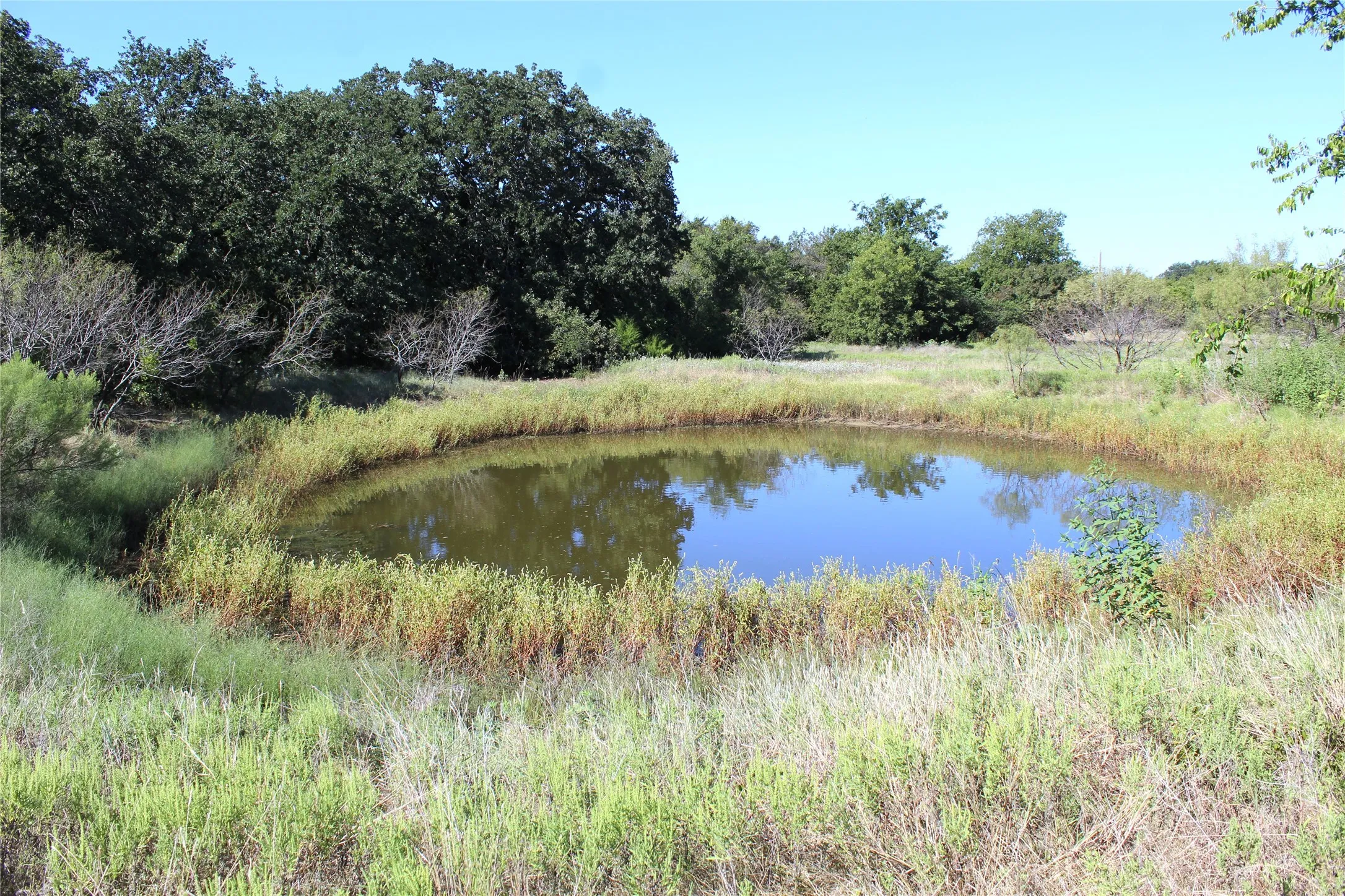 Unimproved Land For Sale in Comanche County , 165 County Road 315, Comanche, Texas 76442, 0, 0, Garage spaces, 0 Sqft, built in 0, mls#21058567, Real Estate Agent in Comanche, Homes For Sale in Comanche county, Homes For Sale in Comanche, Realtor in Comanche Texas, Real Estate Brokerage Independent Realty Texas, Luminita Cordes Realtor