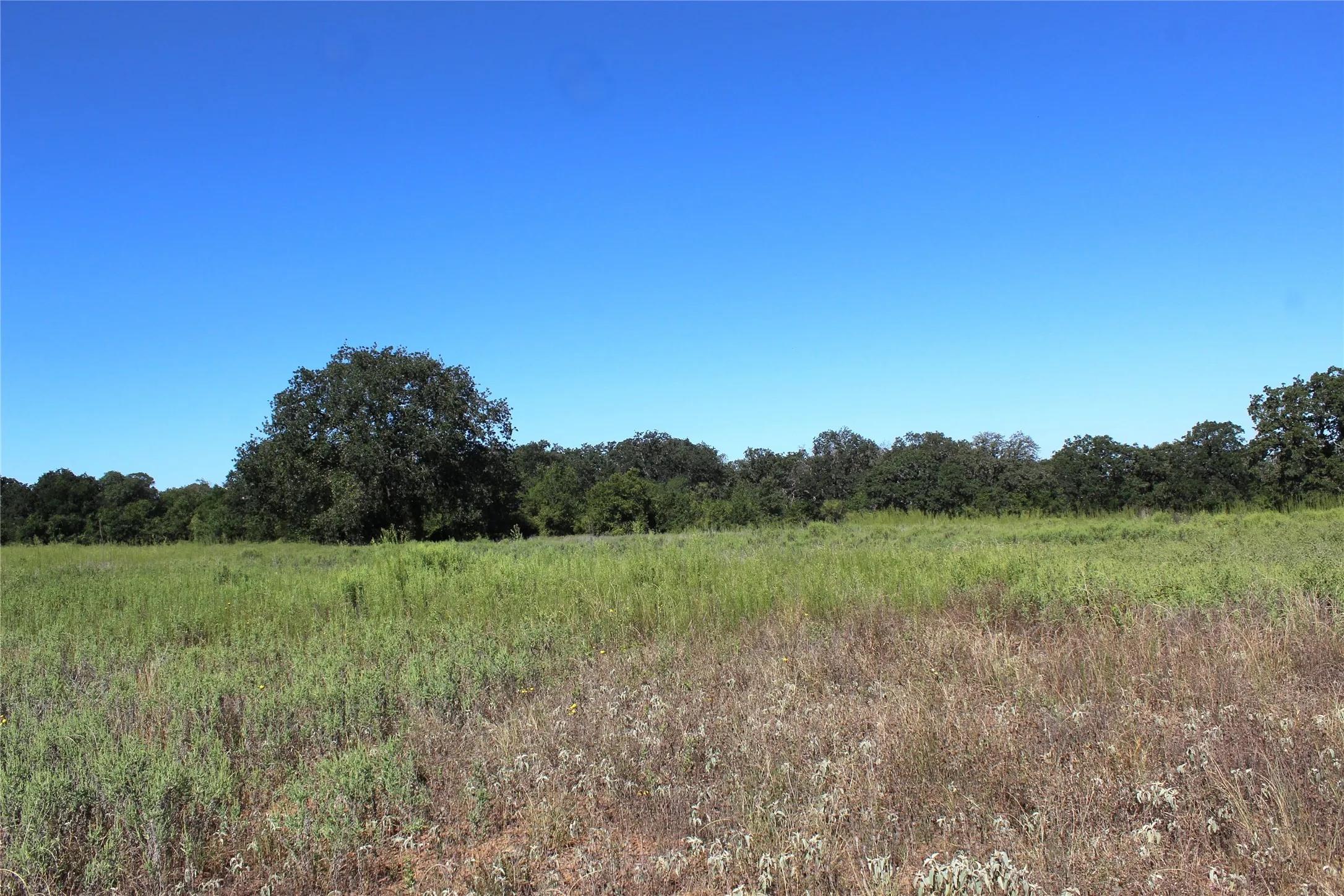 Unimproved Land For Sale in Comanche County , 165 County Road 315, Comanche, Texas 76442, 0, 0, Garage spaces, 0 Sqft, built in 0, mls#21058567, Real Estate Agent in Comanche, Homes For Sale in Comanche county, Homes For Sale in Comanche, Realtor in Comanche Texas, Real Estate Brokerage Independent Realty Texas, Luminita Cordes Realtor