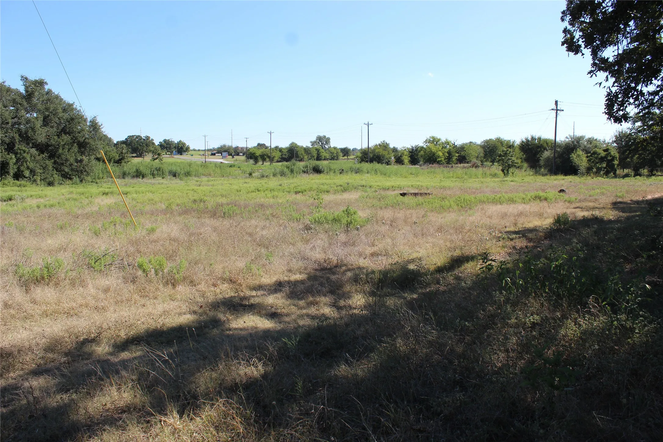 Unimproved Land For Sale in Comanche County , 165 County Road 315, Comanche, Texas 76442, 0, 0, Garage spaces, 0 Sqft, built in 0, mls#21058567, Real Estate Agent in Comanche, Homes For Sale in Comanche county, Homes For Sale in Comanche, Realtor in Comanche Texas, Real Estate Brokerage Independent Realty Texas, Luminita Cordes Realtor