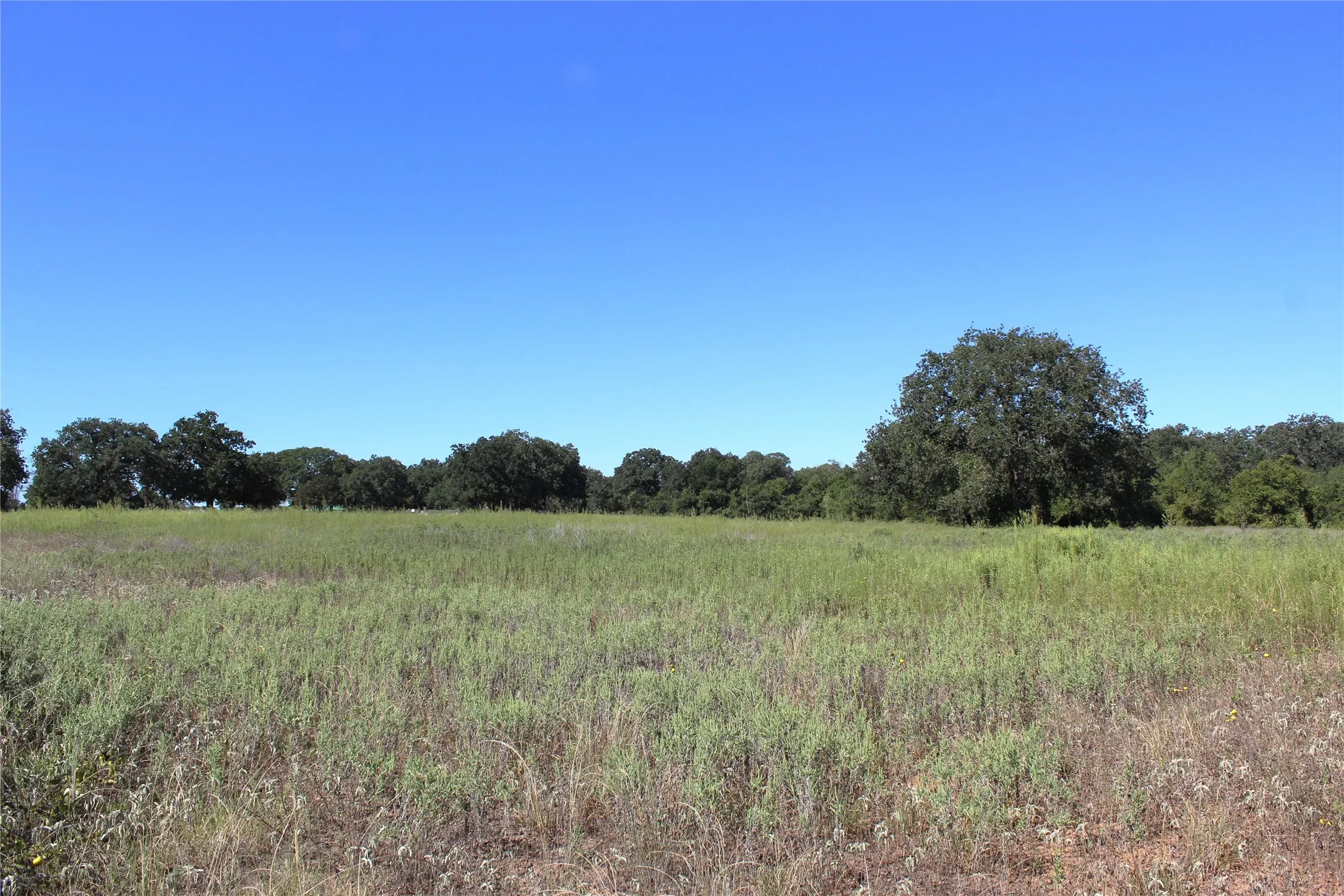 Unimproved Land For Sale in Comanche County , 165 County Road 315, Comanche, Texas 76442, 0, 0, Garage spaces, 0 Sqft, built in 0, mls#21058567, Real Estate Agent in Comanche, Homes For Sale in Comanche county, Homes For Sale in Comanche, Realtor in Comanche Texas, Real Estate Brokerage Independent Realty Texas, Luminita Cordes Realtor