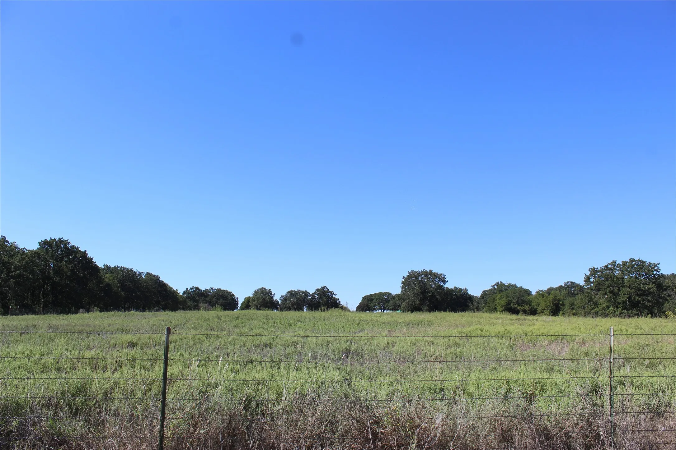 Unimproved Land For Sale in Comanche County , 165 County Road 315, Comanche, Texas 76442, 0, 0, Garage spaces, 0 Sqft, built in 0, mls#21058567, Real Estate Agent in Comanche, Homes For Sale in Comanche county, Homes For Sale in Comanche, Realtor in Comanche Texas, Real Estate Brokerage Independent Realty Texas, Luminita Cordes Realtor