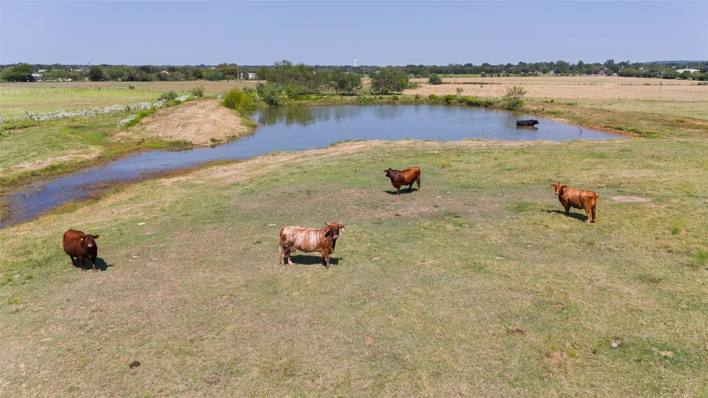 Improved Land For Sale in Hill County , 338 Hcr 2124 Loop, Whitney, Texas 76692, 0, 0, Garage spaces, 0 Sqft, built in 1970, mls#21057832, Real Estate Agent in Whitney, Homes For Sale in Hill county, Homes For Sale in Whitney, Realtor in Whitney Texas, Real Estate Brokerage Independent Realty Texas, Luminita Cordes Realtor