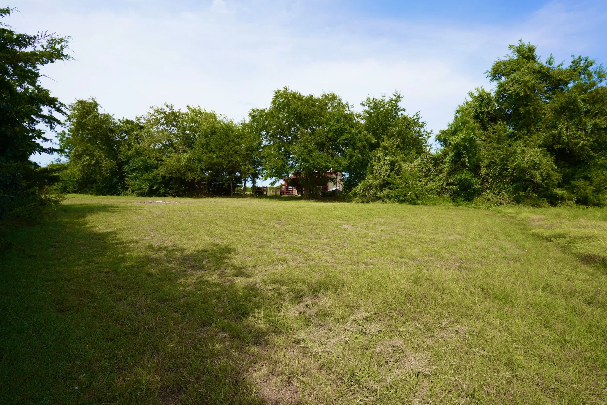 View of green lawn