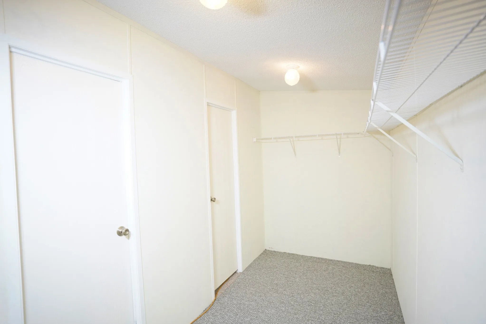 Spacious closet featuring carpet flooring