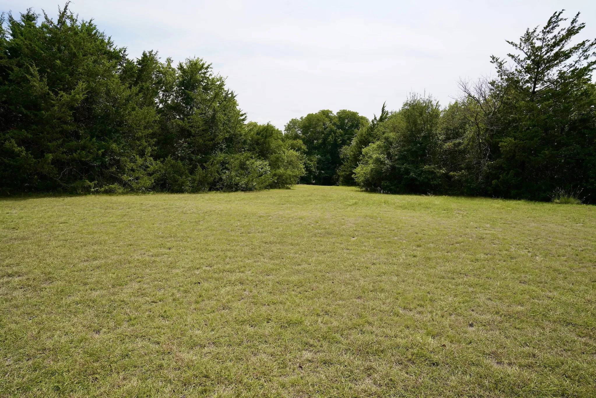 View of grassy yard