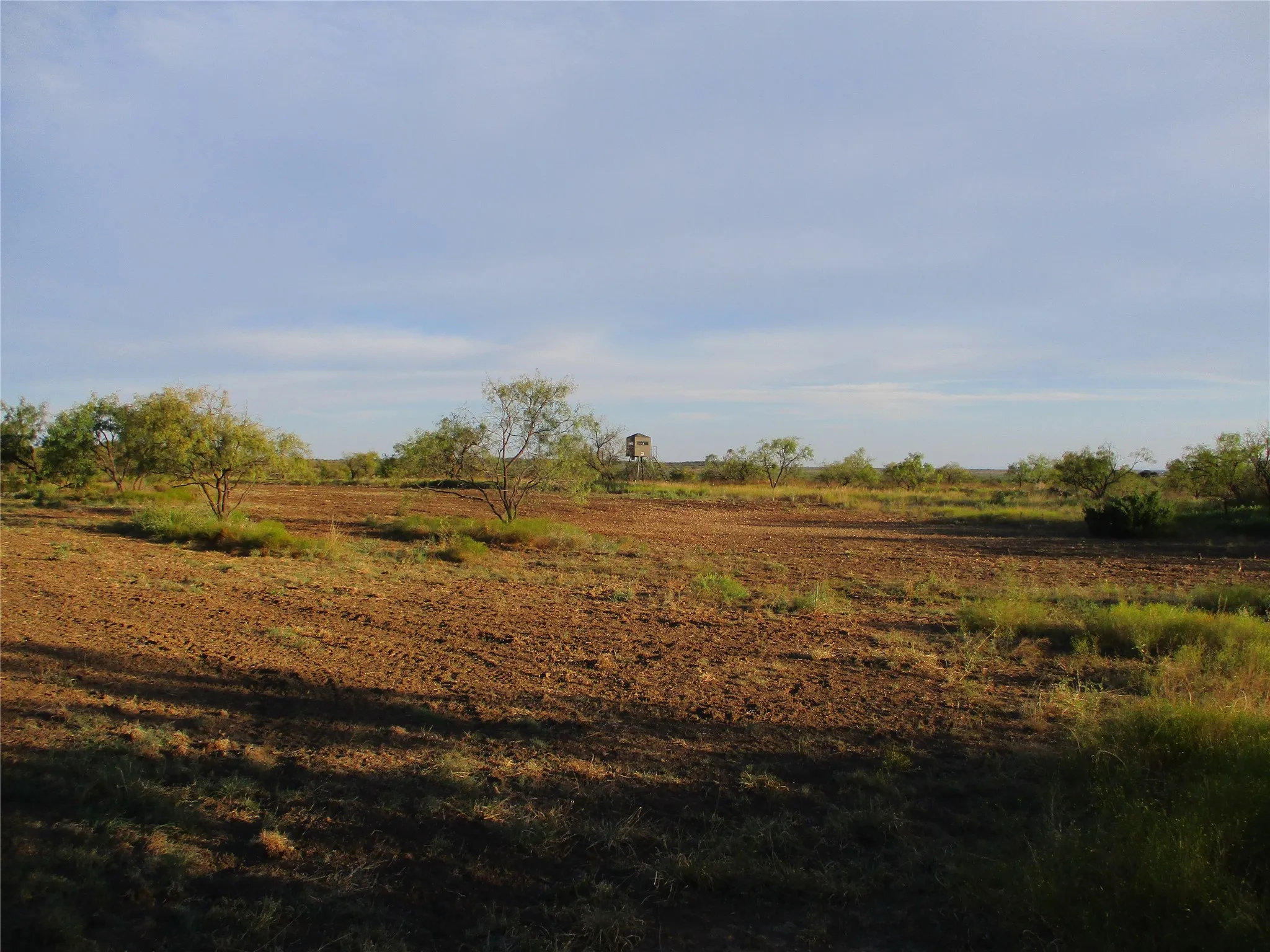 View of local wilderness with rural landscape