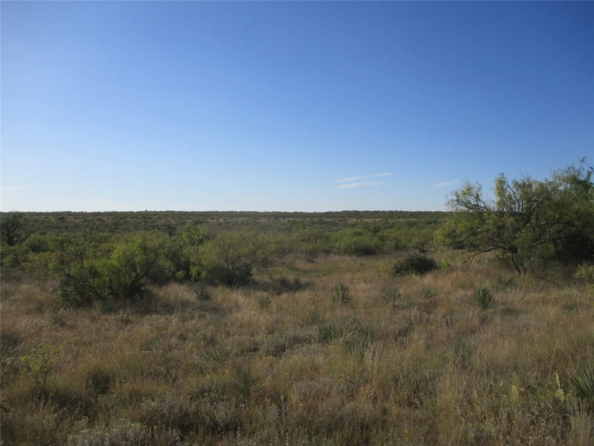 View of local wilderness featuring rural landscape