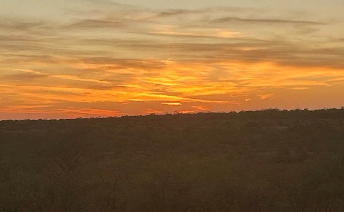 Unimproved Land For Sale in Runnels County , TBD CR 467 CR 467, No City, Texas 76882, 0, 0, Garage spaces, 0 Sqft, built in 0, Price $2,170,000, mls#21059620, Real Estate Agent in No City, Homes For Sale in Runnels county, Homes For Sale in No City, Realtor in No City Texas, Real Estate Brokerage Independent Realty Texas, Luminita Cordes Realtor