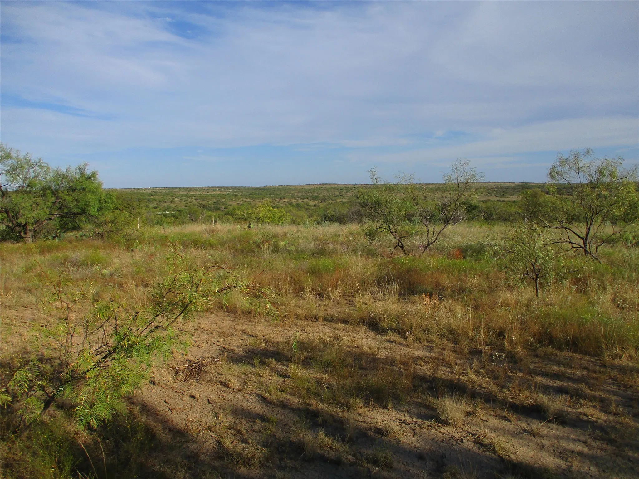 View of local wilderness with rural landscape