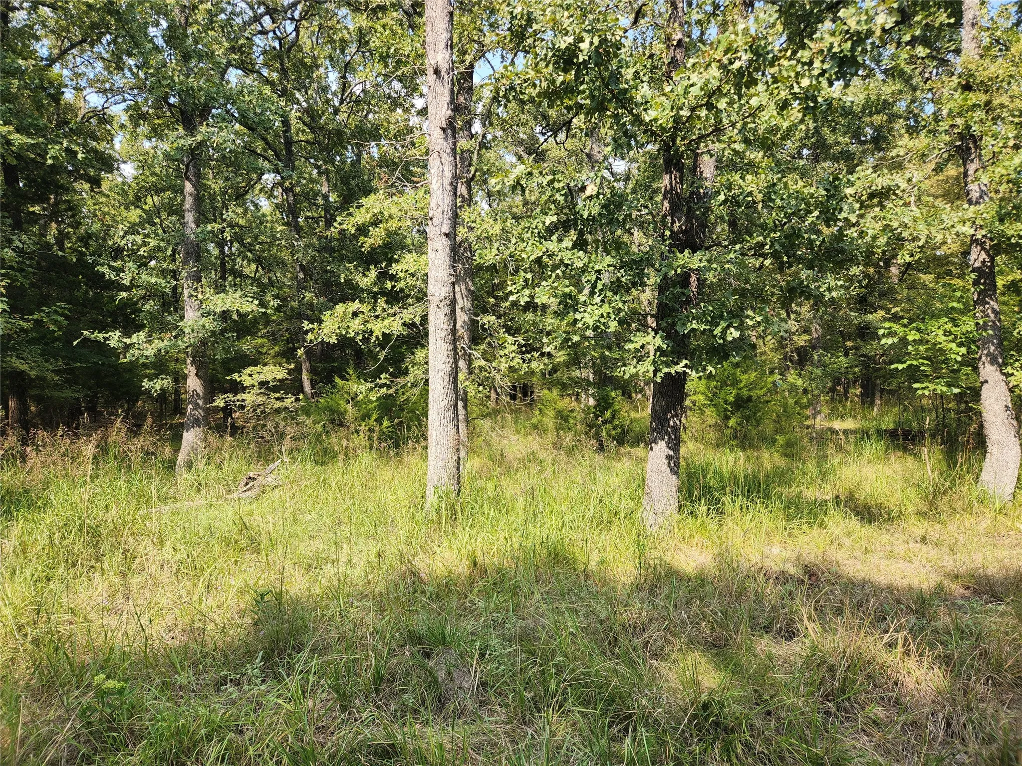 Unimproved Land For Sale in Hunt County , Lot 31 Fox Point Road, Quinlan, Texas 75474, 0, 0, Garage spaces, 0 Sqft, built in 0, mls#21059624, Real Estate Agent in Quinlan, Homes For Sale in Hunt county, Homes For Sale in Quinlan, Realtor in Quinlan Texas, Real Estate Brokerage Independent Realty Texas, Luminita Cordes Realtor