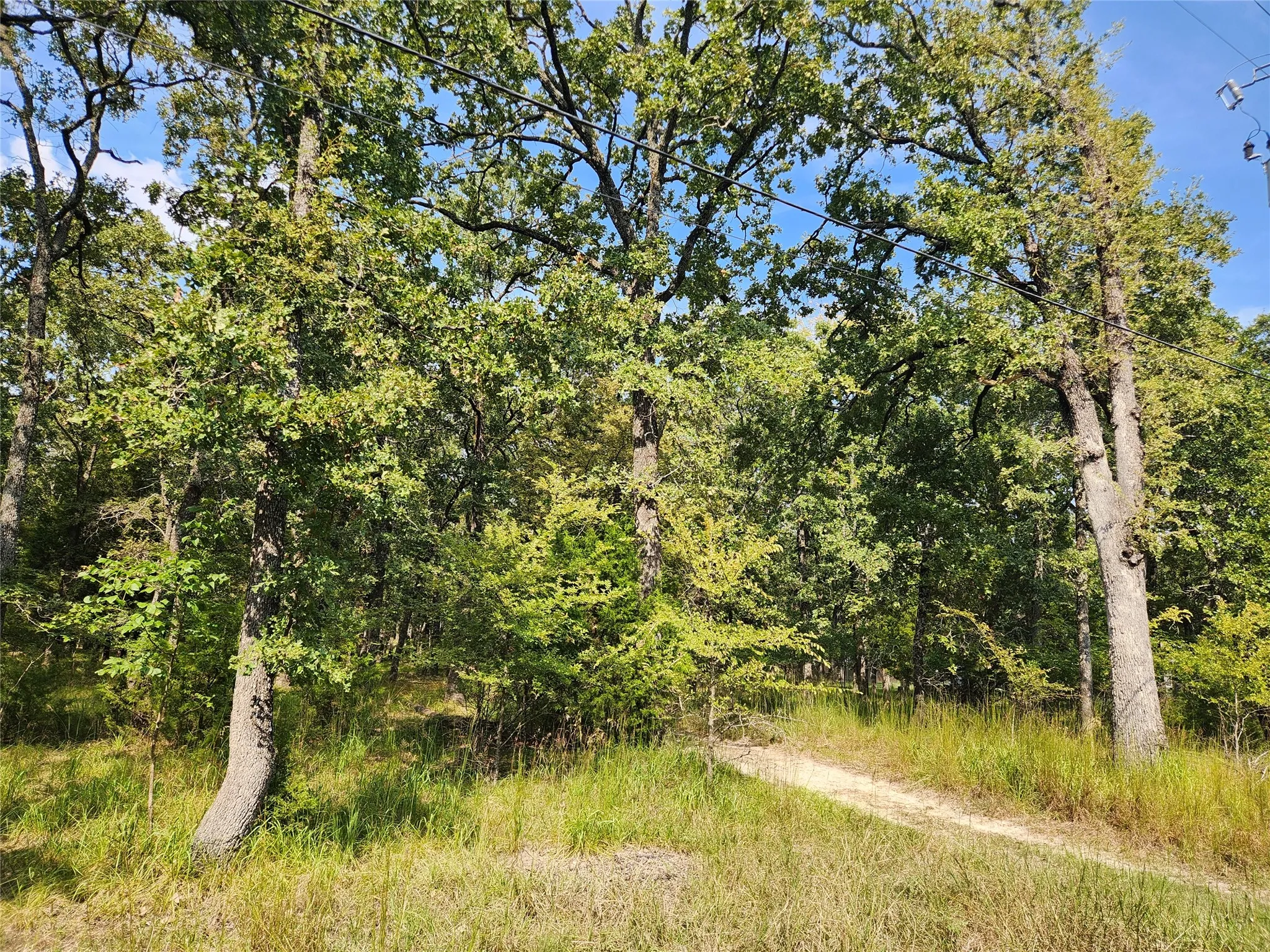 Unimproved Land For Sale in Hunt County , Lot 31 Fox Point Road, Quinlan, Texas 75474, 0, 0, Garage spaces, 0 Sqft, built in 0, mls#21059624, Real Estate Agent in Quinlan, Homes For Sale in Hunt county, Homes For Sale in Quinlan, Realtor in Quinlan Texas, Real Estate Brokerage Independent Realty Texas, Luminita Cordes Realtor