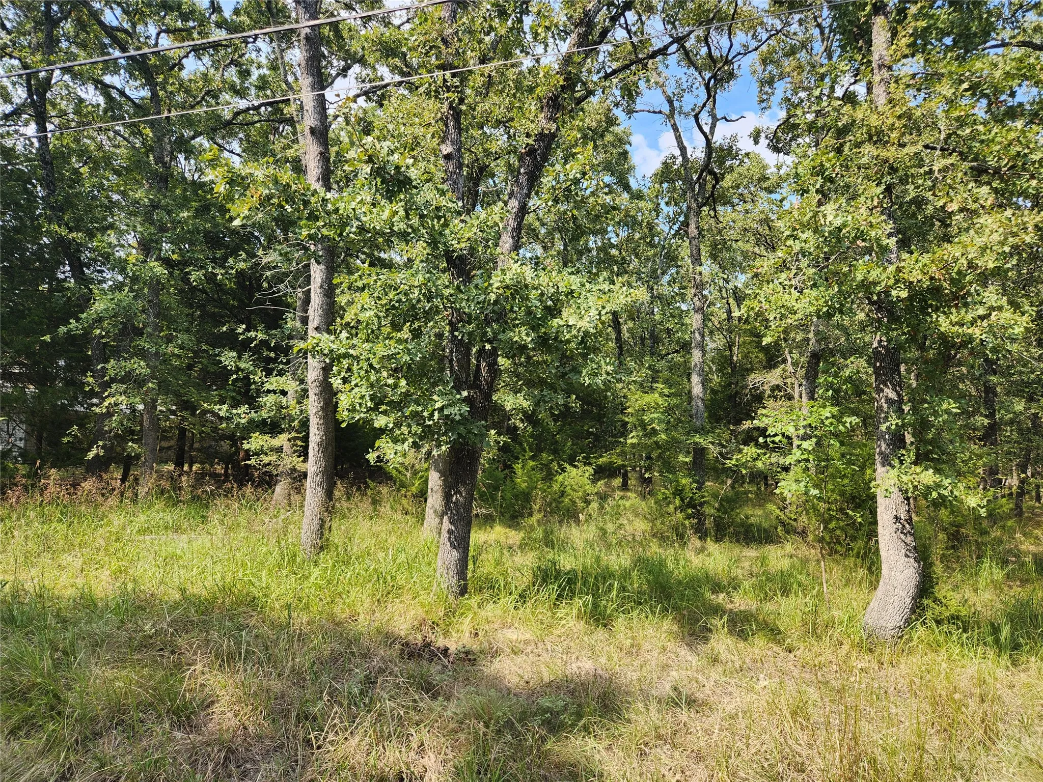 Unimproved Land For Sale in Hunt County , Lot 31 Fox Point Road, Quinlan, Texas 75474, 0, 0, Garage spaces, 0 Sqft, built in 0, mls#21059624, Real Estate Agent in Quinlan, Homes For Sale in Hunt county, Homes For Sale in Quinlan, Realtor in Quinlan Texas, Real Estate Brokerage Independent Realty Texas, Luminita Cordes Realtor