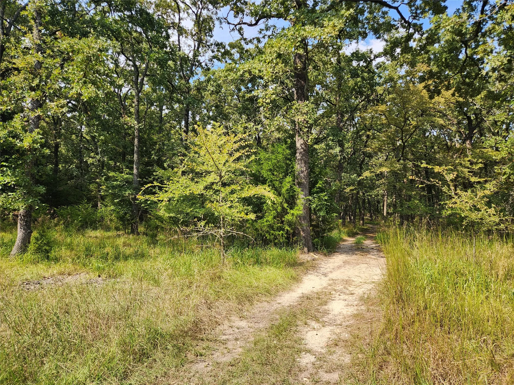 Unimproved Land For Sale in Hunt County , Lot 31 Fox Point Road, Quinlan, Texas 75474, 0, 0, Garage spaces, 0 Sqft, built in 0, mls#21059624, Real Estate Agent in Quinlan, Homes For Sale in Hunt county, Homes For Sale in Quinlan, Realtor in Quinlan Texas, Real Estate Brokerage Independent Realty Texas, Luminita Cordes Realtor