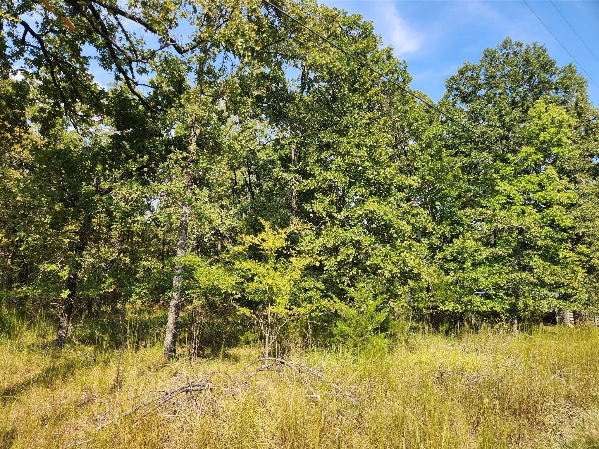 Unimproved Land For Sale in Hunt County , Lot 31 Fox Point Road, Quinlan, Texas 75474, 0, 0, Garage spaces, 0 Sqft, built in 0, mls#21059624, Real Estate Agent in Quinlan, Homes For Sale in Hunt county, Homes For Sale in Quinlan, Realtor in Quinlan Texas, Real Estate Brokerage Independent Realty Texas, Luminita Cordes Realtor