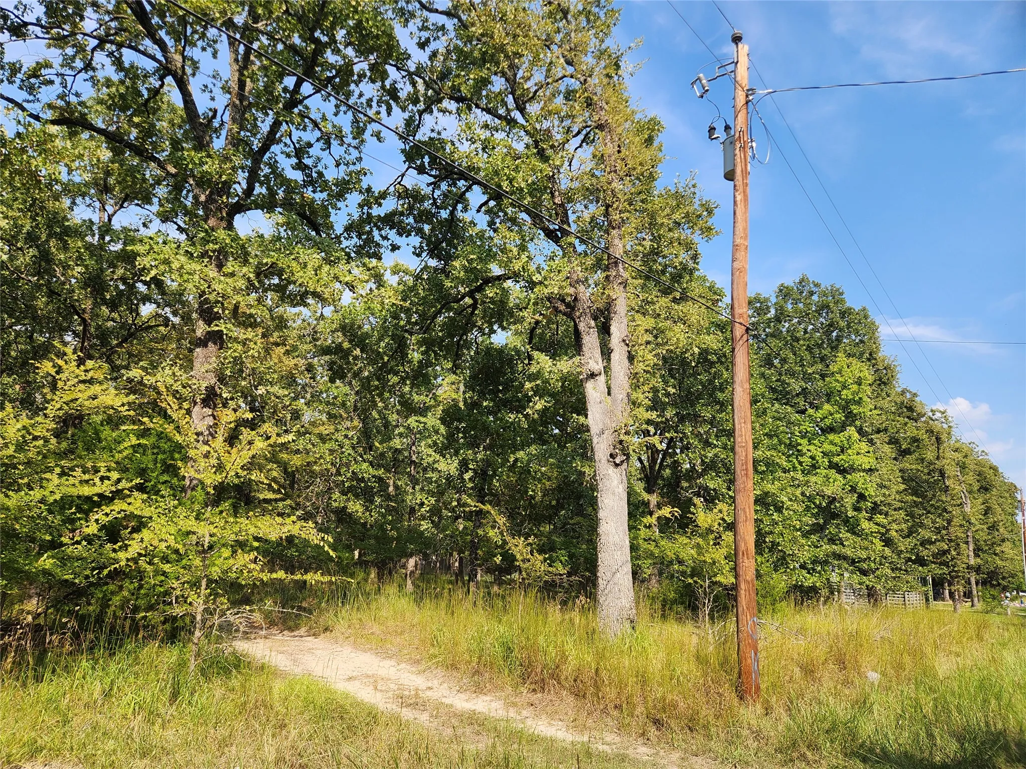Unimproved Land For Sale in Hunt County , Lot 31 Fox Point Road, Quinlan, Texas 75474, 0, 0, Garage spaces, 0 Sqft, built in 0, mls#21059624, Real Estate Agent in Quinlan, Homes For Sale in Hunt county, Homes For Sale in Quinlan, Realtor in Quinlan Texas, Real Estate Brokerage Independent Realty Texas, Luminita Cordes Realtor