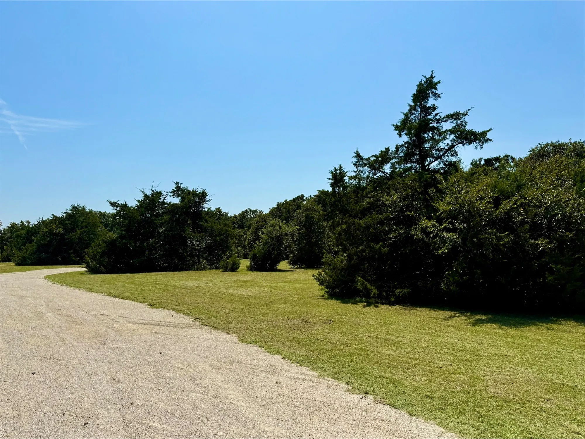 View of asphalt road featuring a forest view