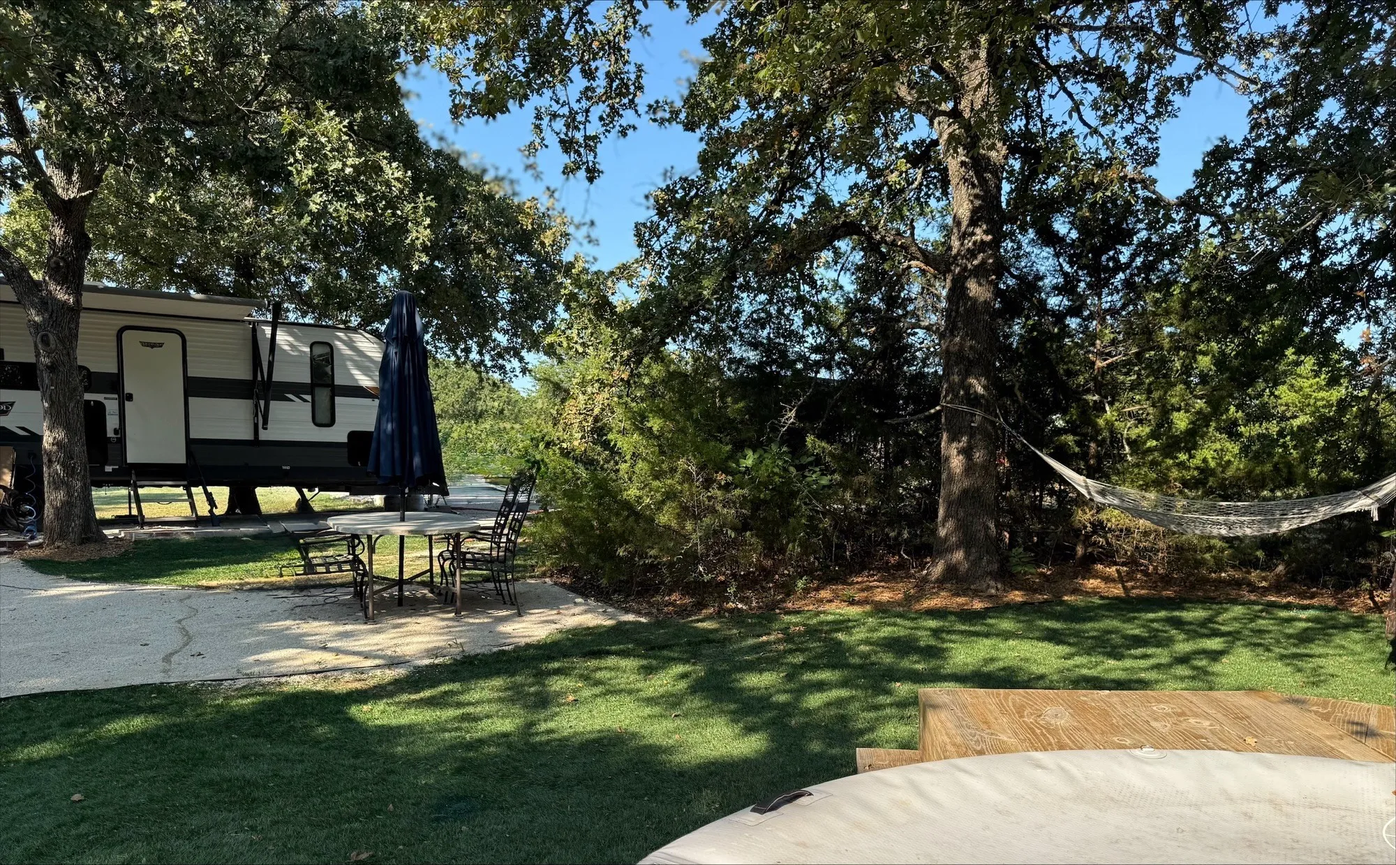 View of grassy yard with view of scattered trees