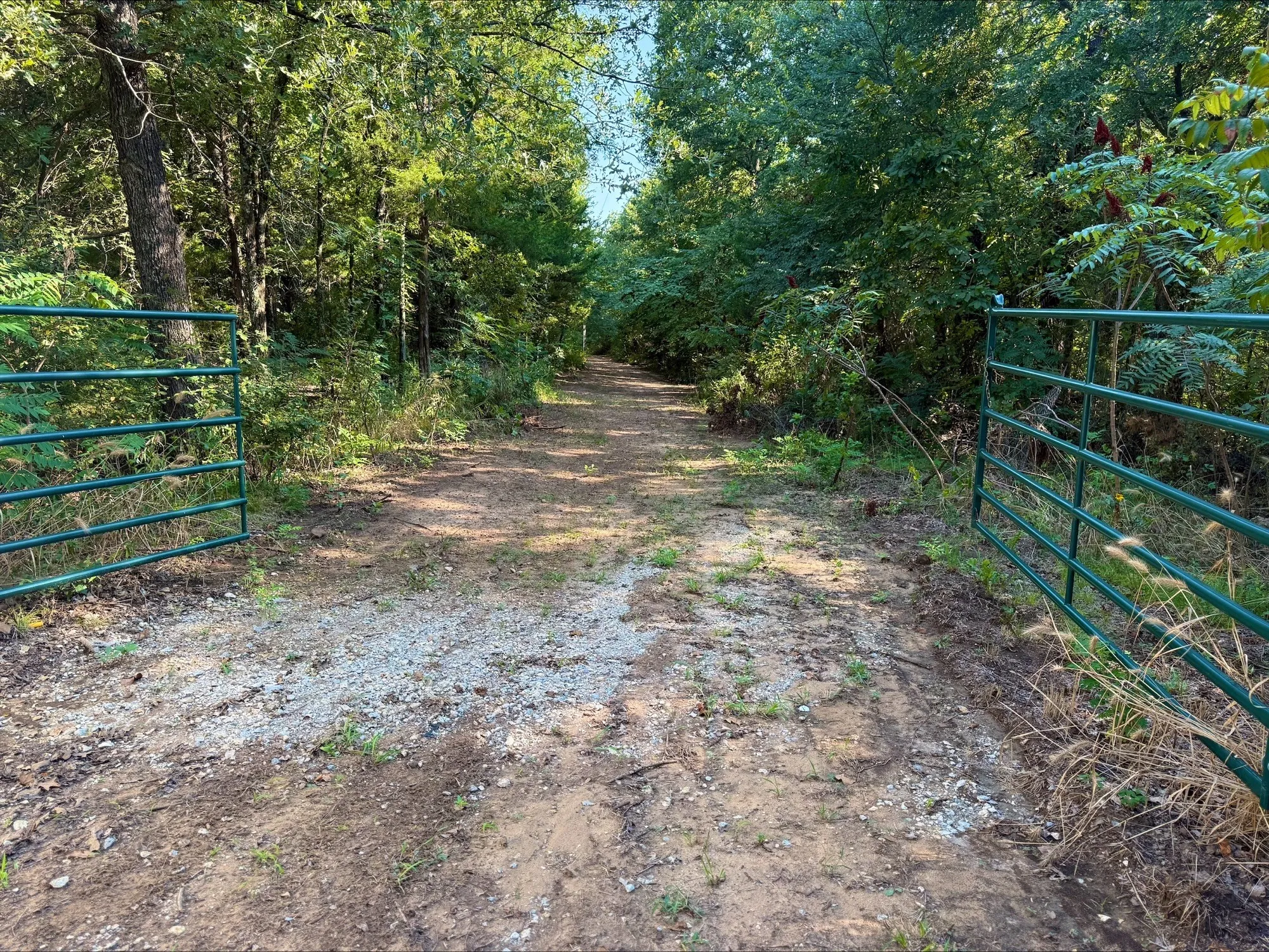 View of dirt / gravel road featuring a forest view, a gated entry, and a gate