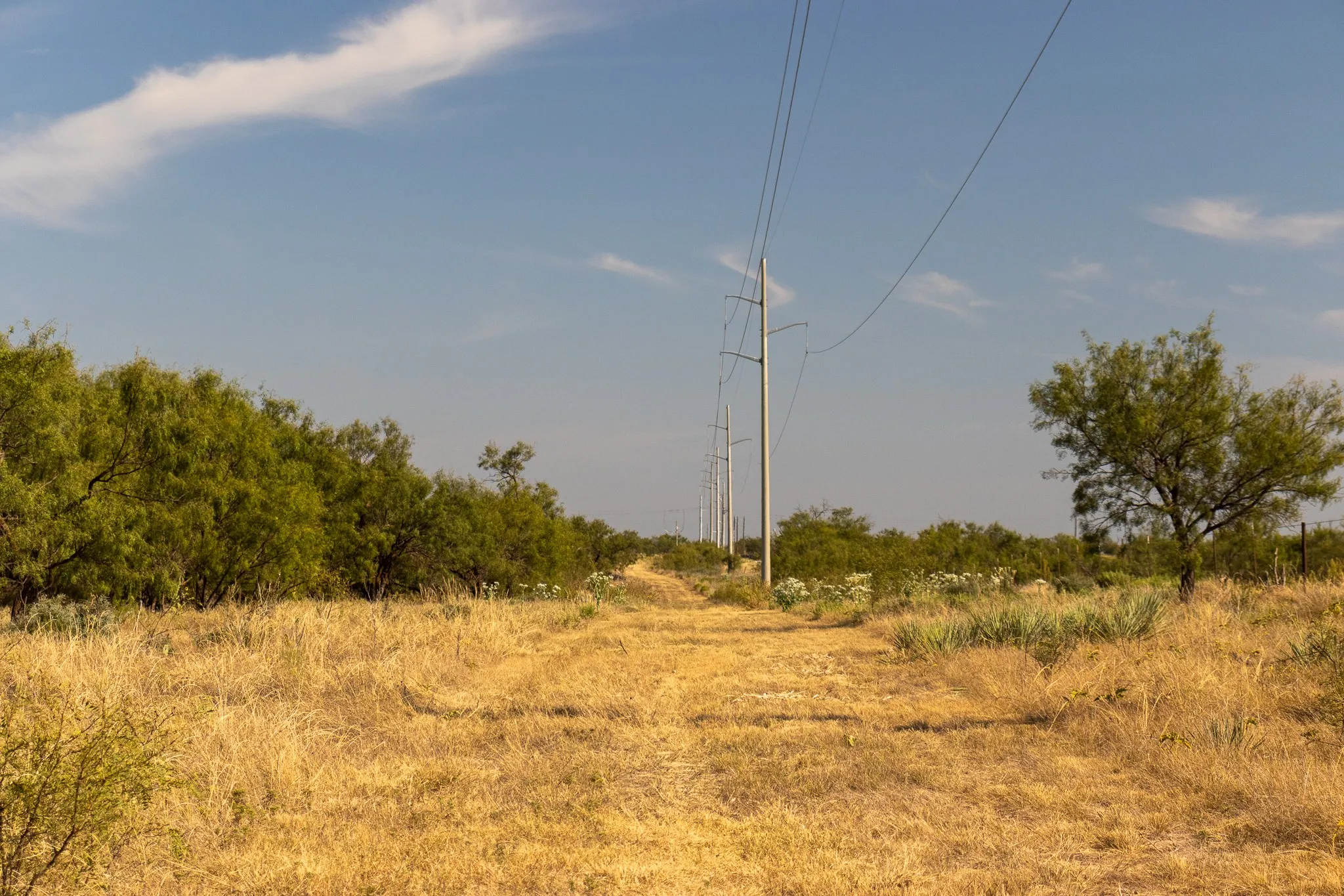 View of undeveloped land