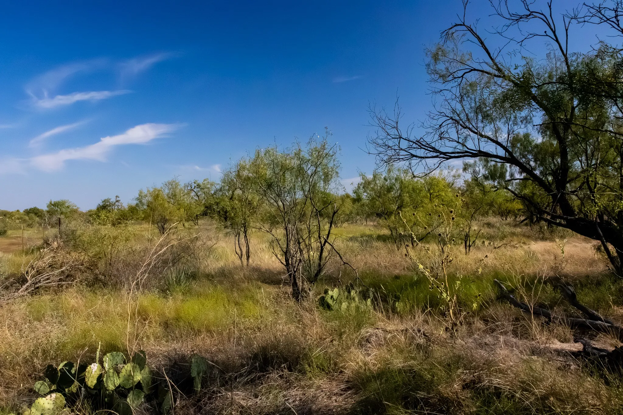 View of undeveloped land