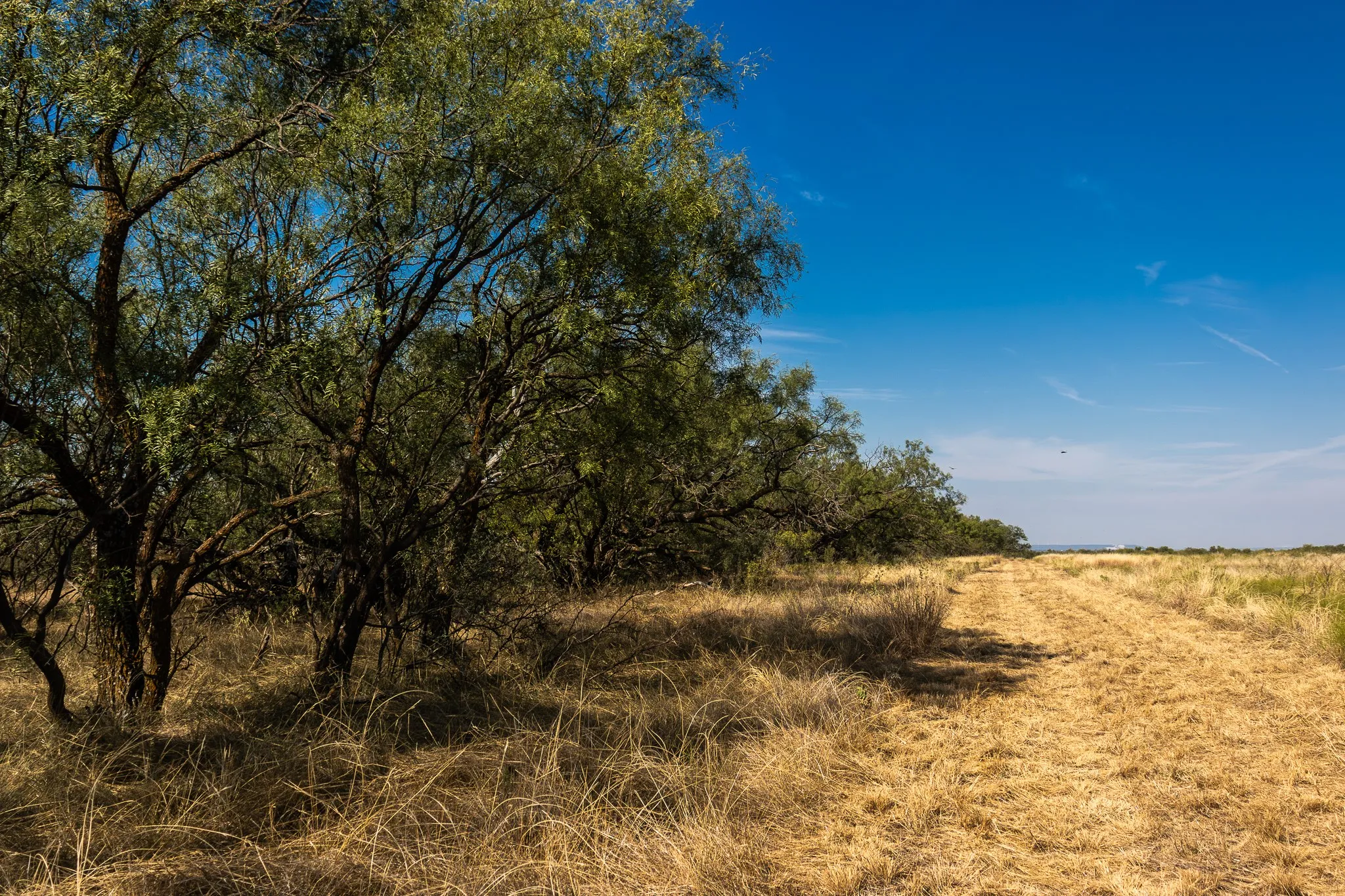 View of undeveloped land featuring rural landscape