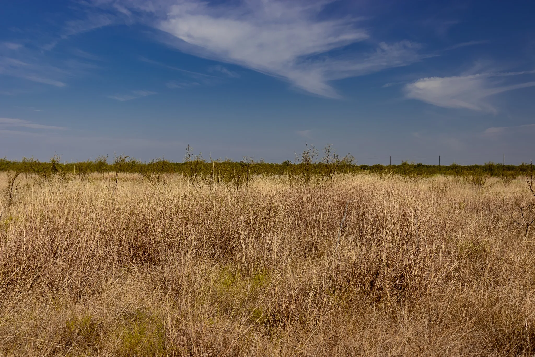 View of nature featuring rural landscape