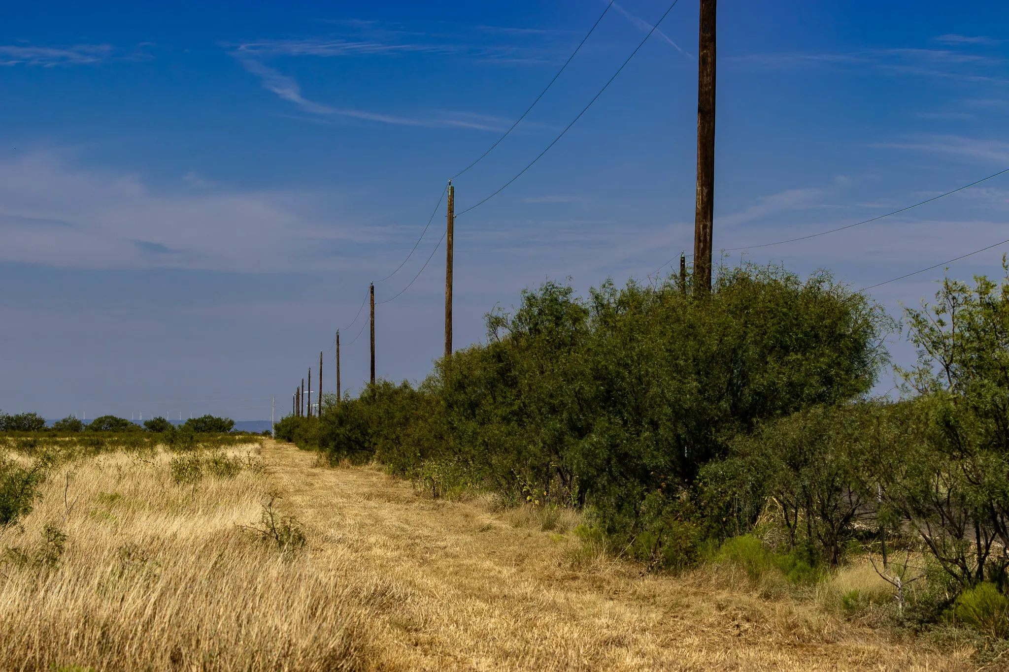 View of nature