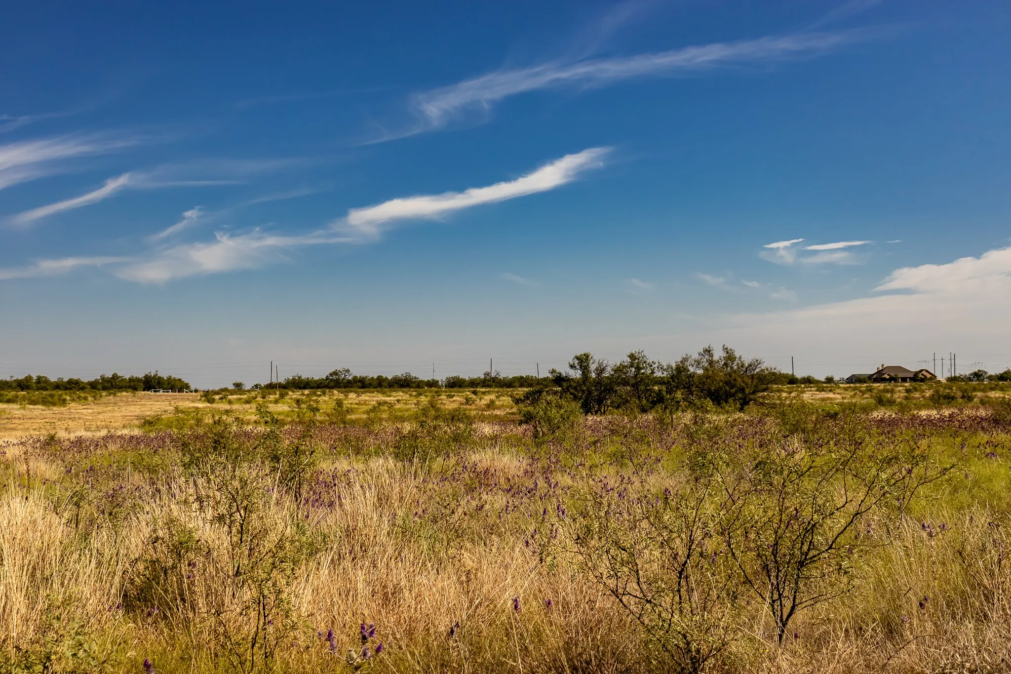 View of local wilderness featuring rural landscape