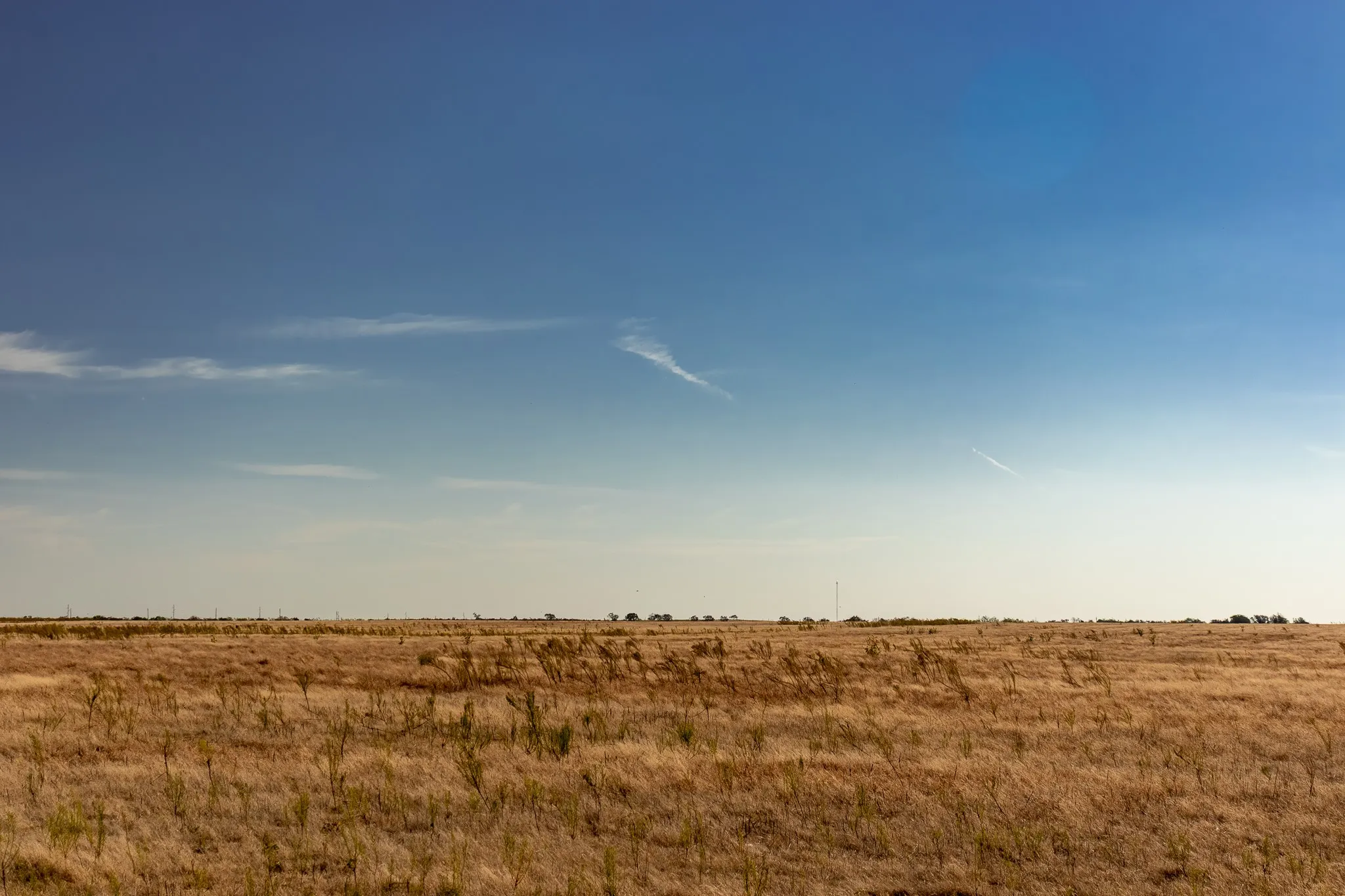 View of local wilderness with rural landscape